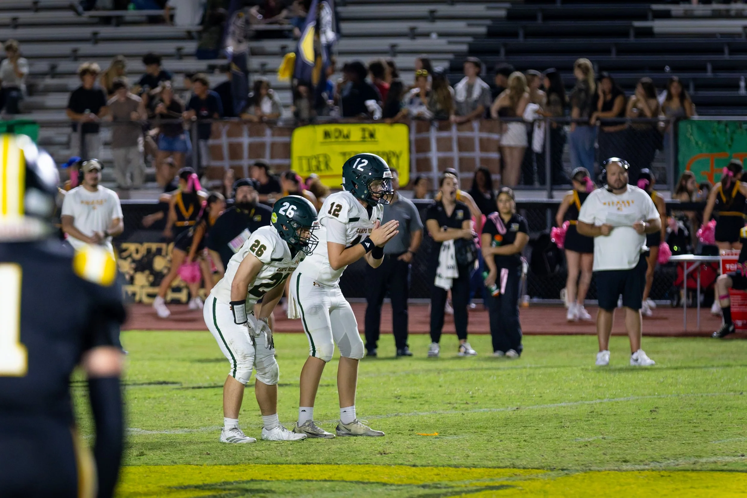 IMG_1851-DxO_DeepPRIME 3.jpg