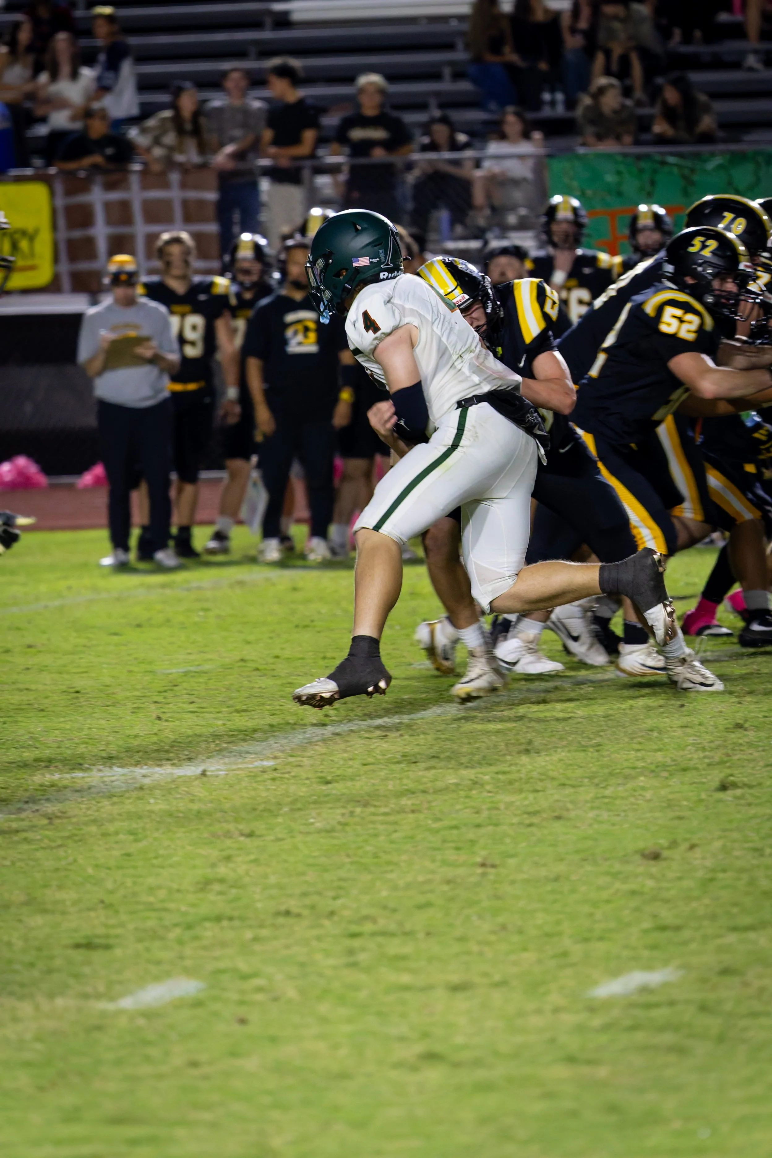 IMG_4461-DxO_DeepPRIME 3.jpg