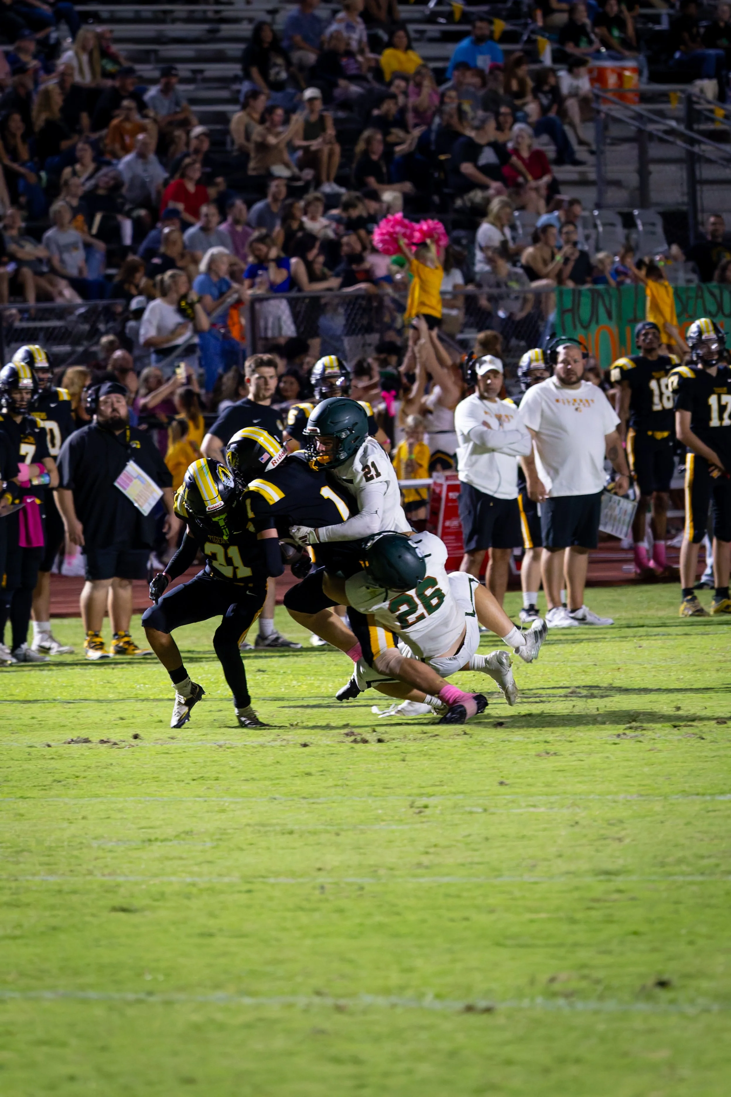 IMG_3216-DxO_DeepPRIME 3.jpg
