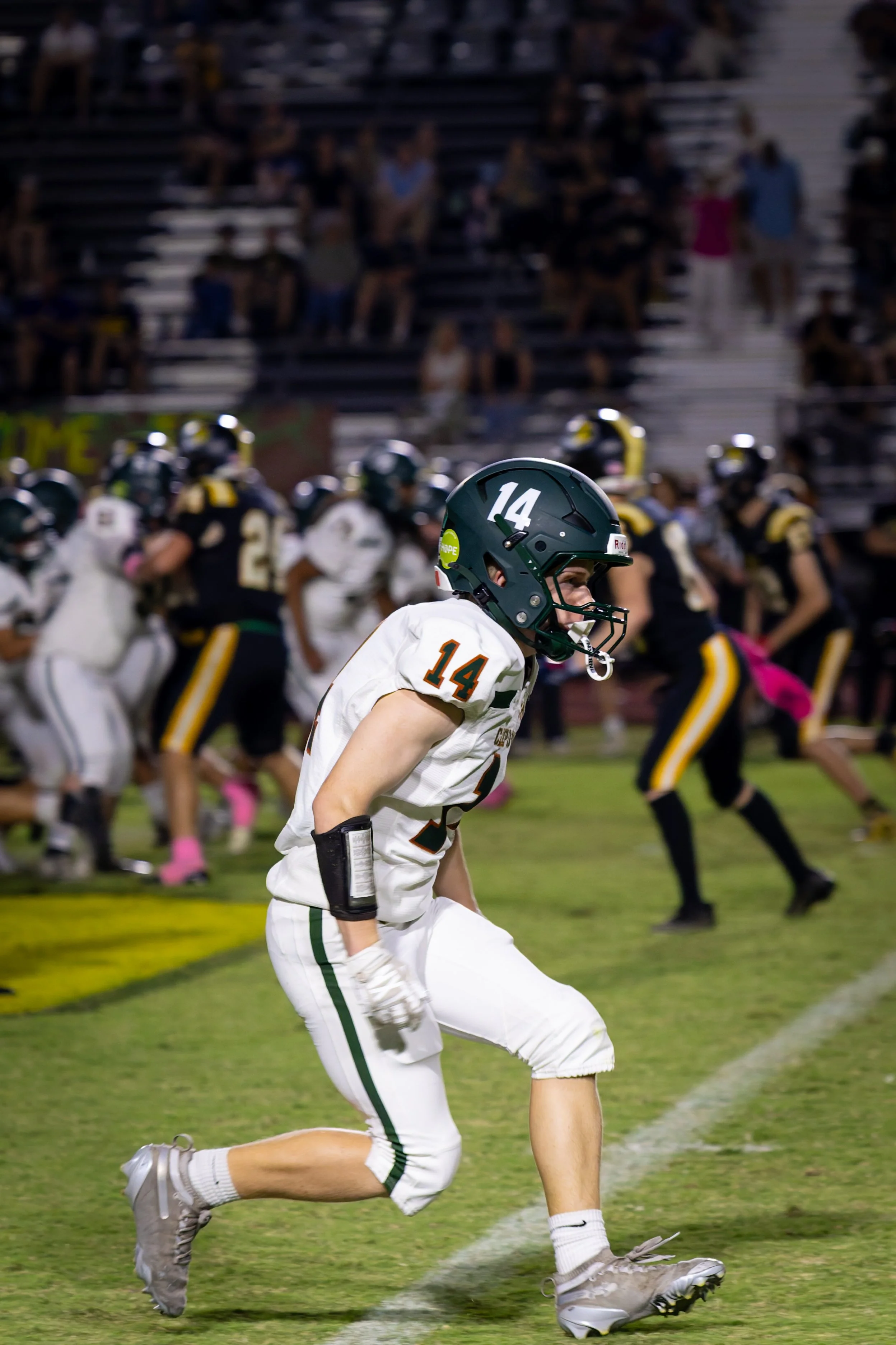 IMG_5272-DxO_DeepPRIME 3.jpg