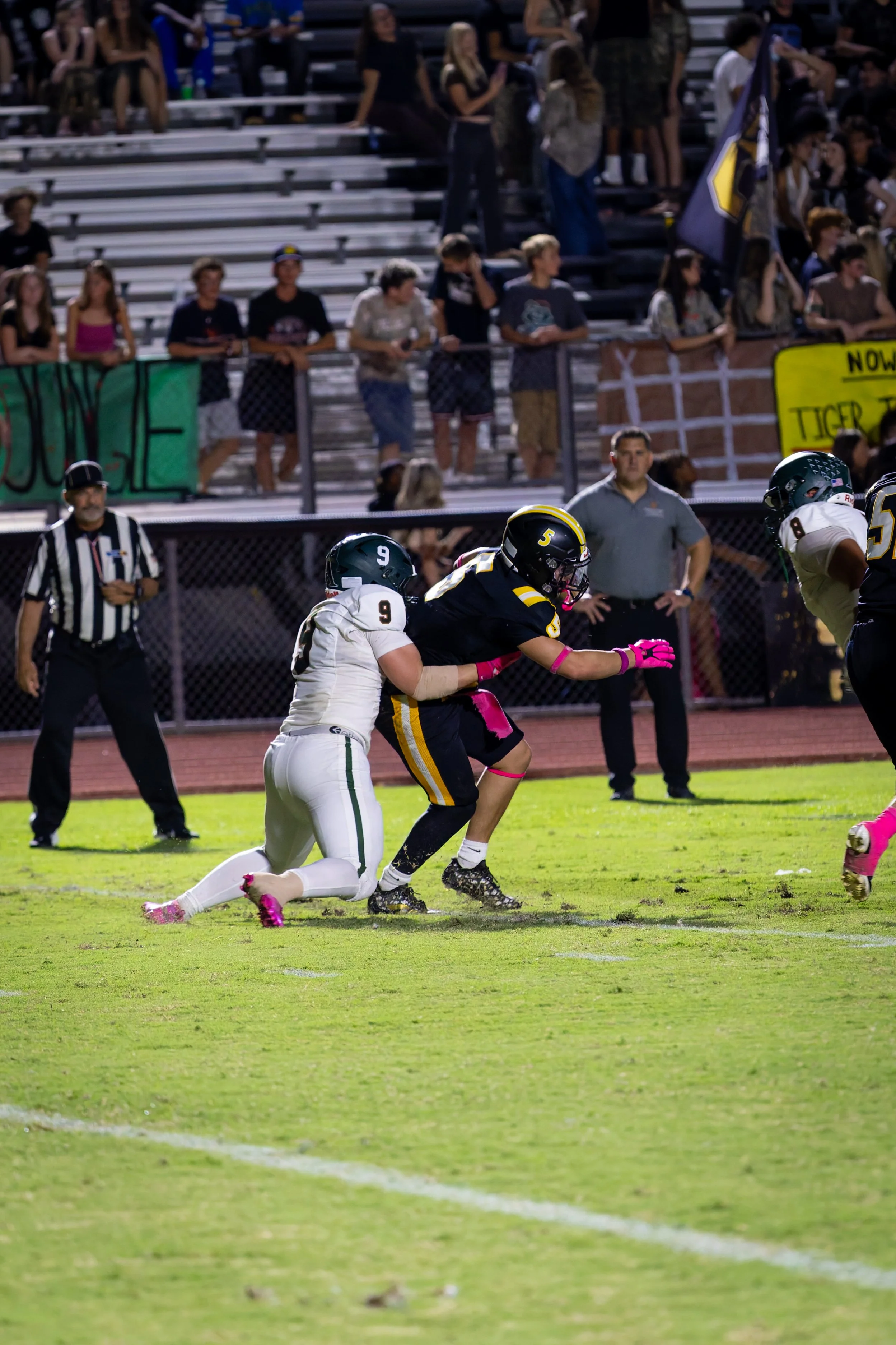 IMG_3272-DxO_DeepPRIME 3.jpg