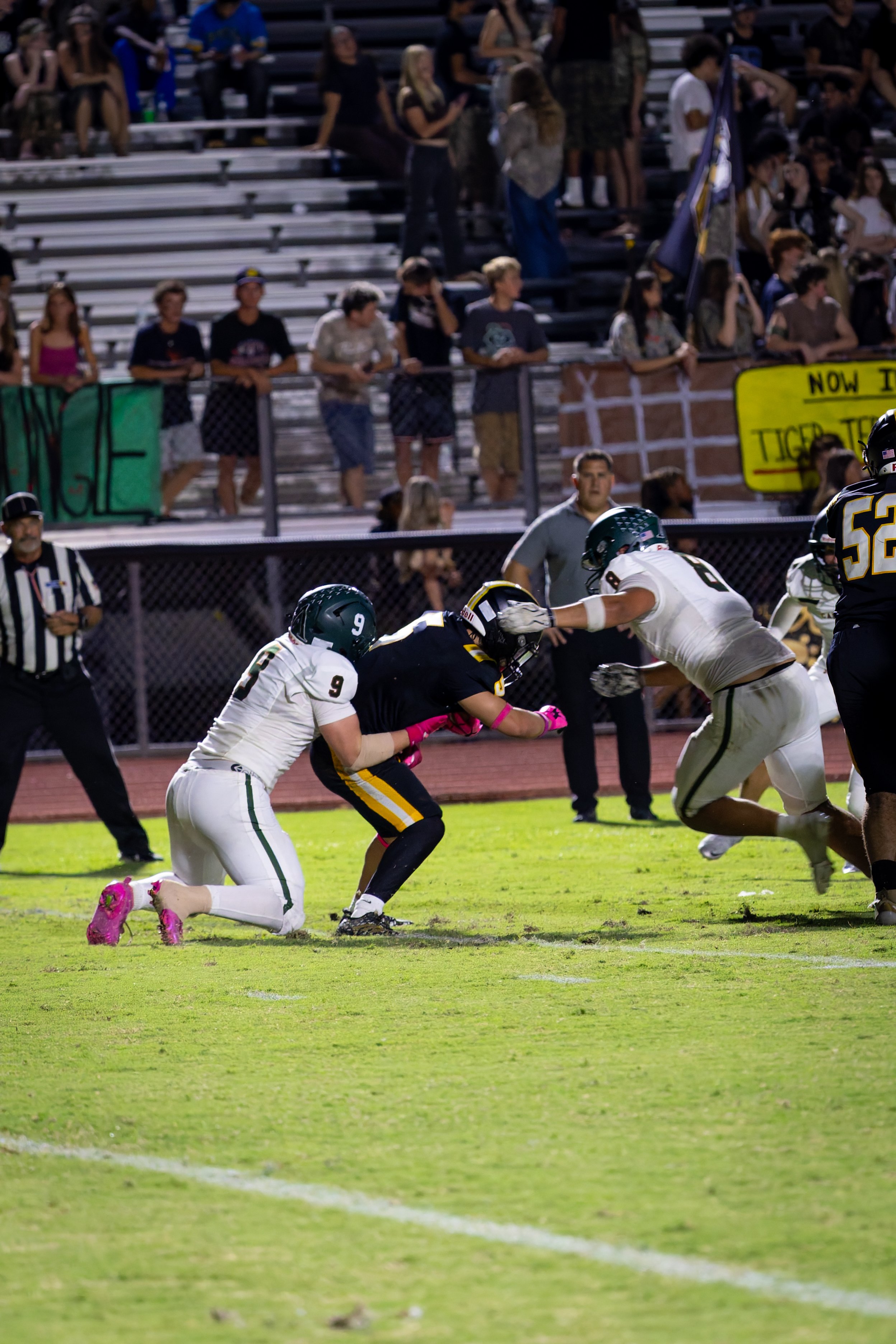 IMG_3276-DxO_DeepPRIME 3.jpg