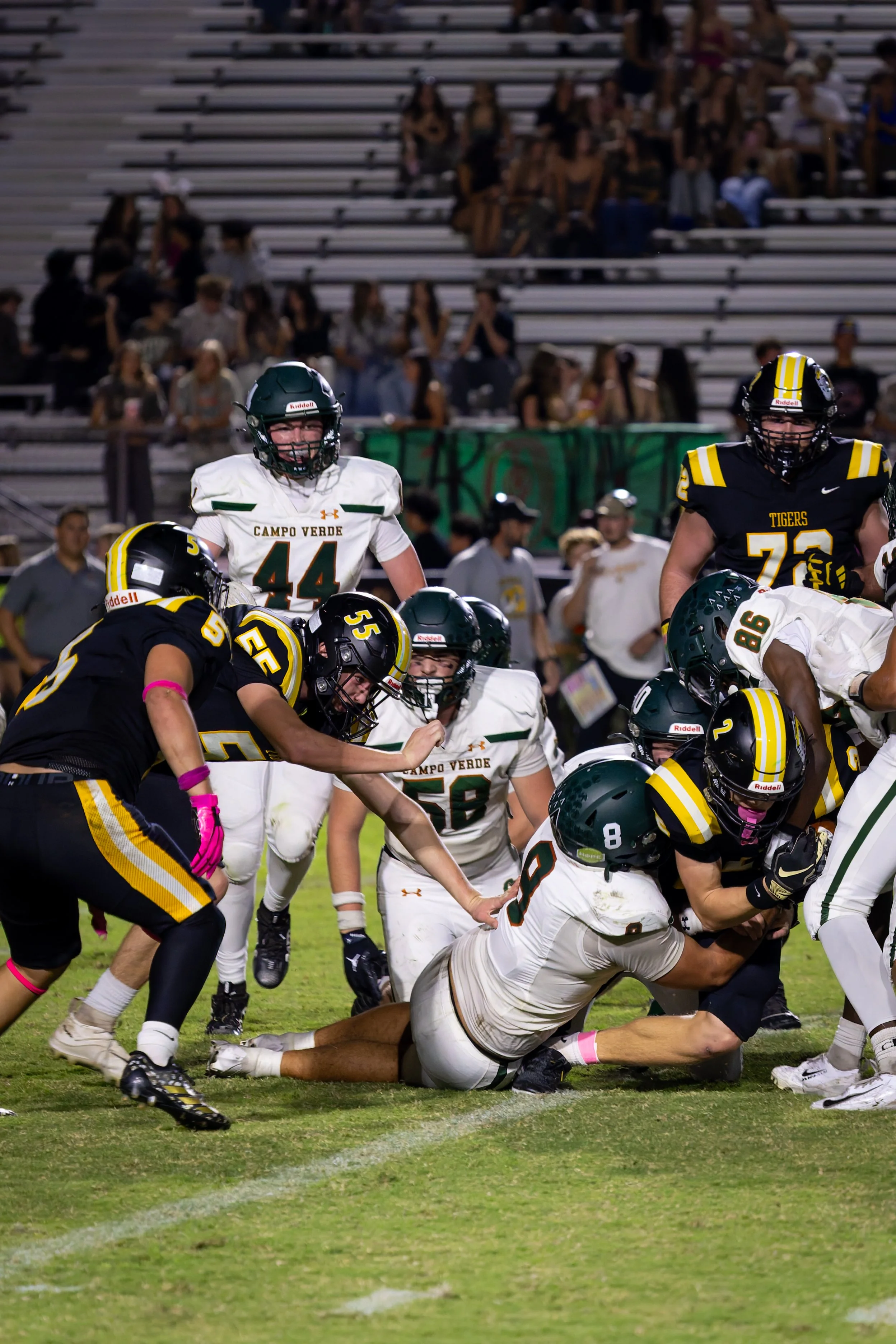 IMG_3419-DxO_DeepPRIME 3.jpg