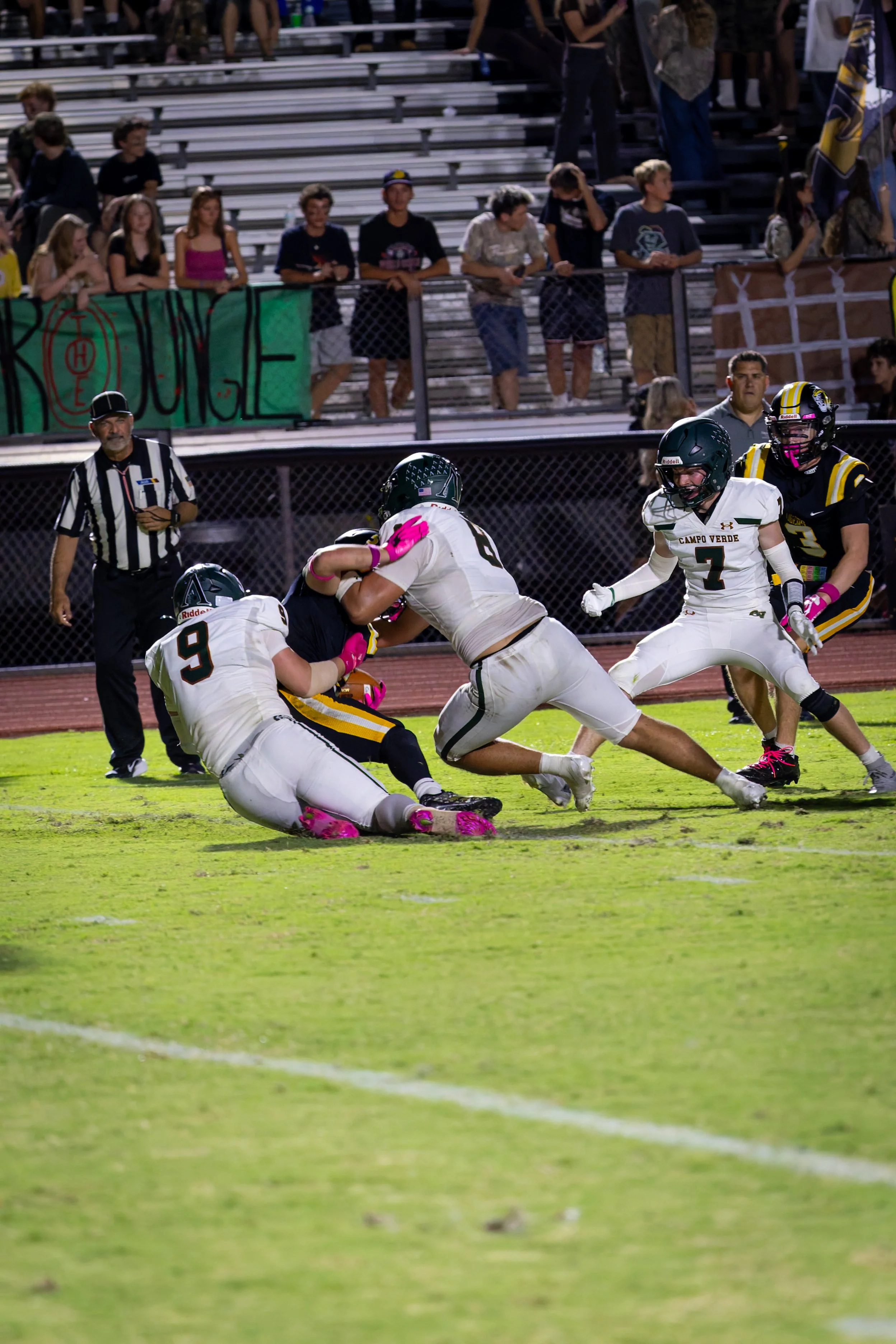 IMG_3287-DxO_DeepPRIME 3.jpg