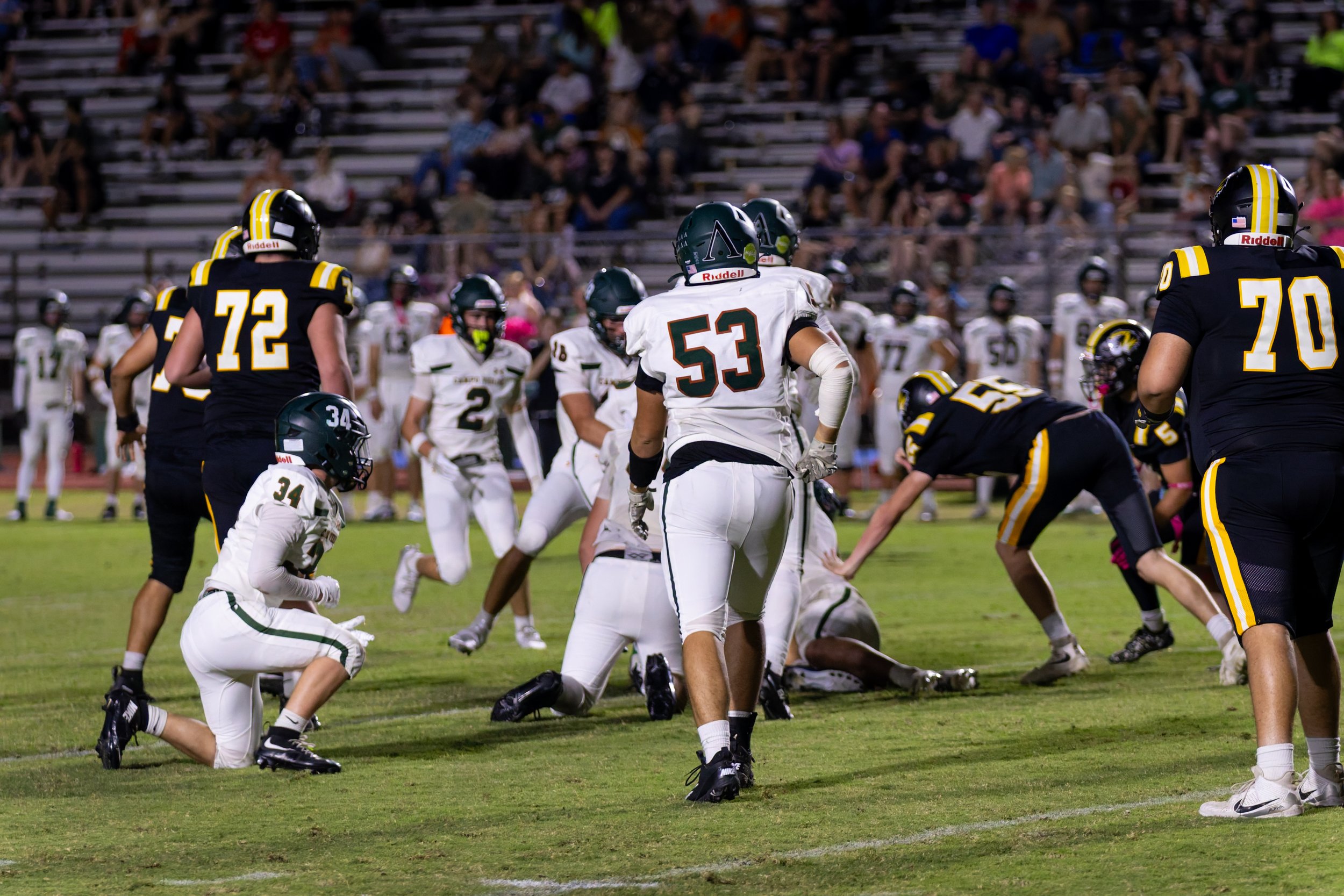IMG_1371-DxO_DeepPRIME 3.jpg