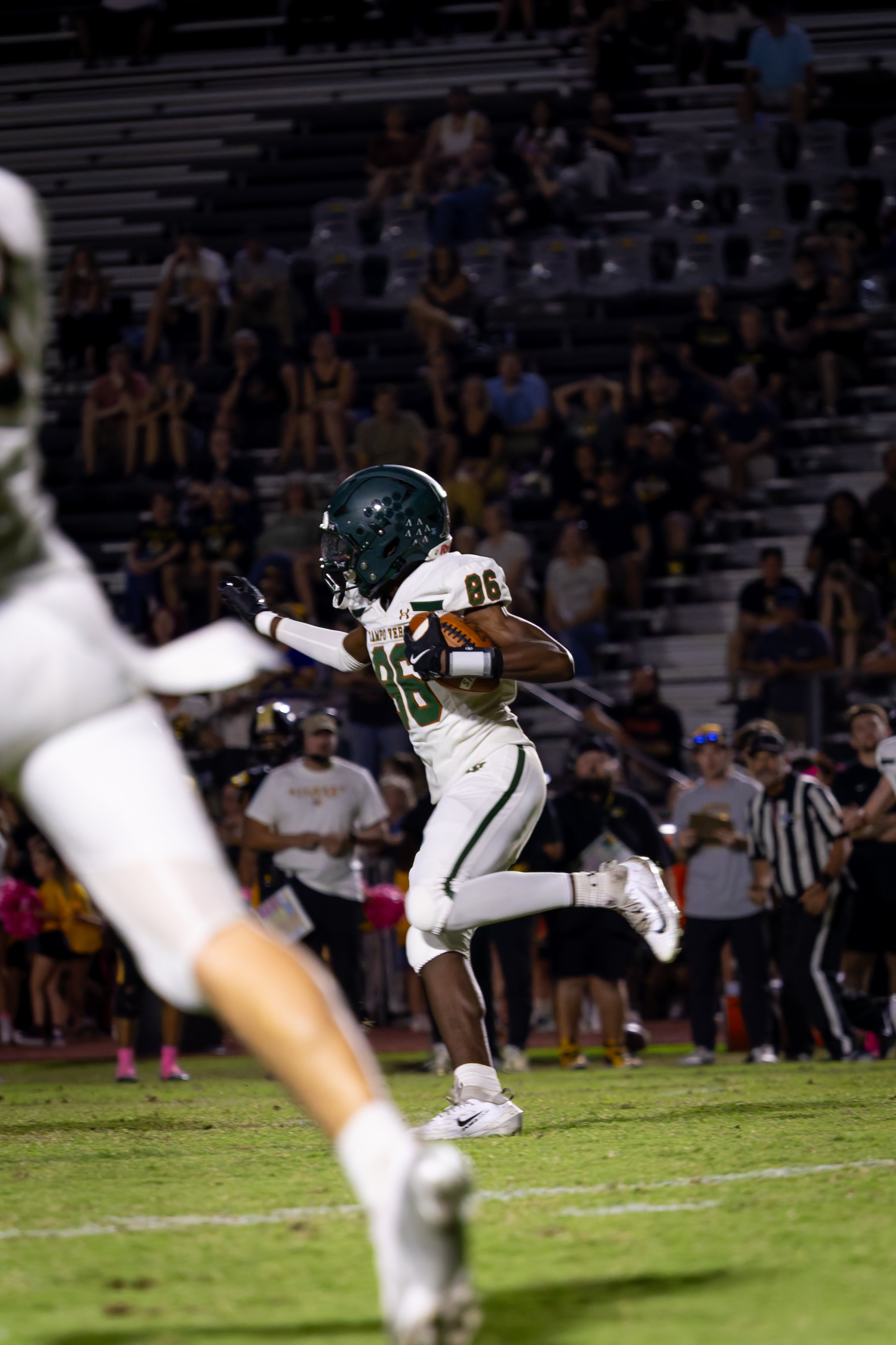 IMG_2726-DxO_DeepPRIME 3.jpg