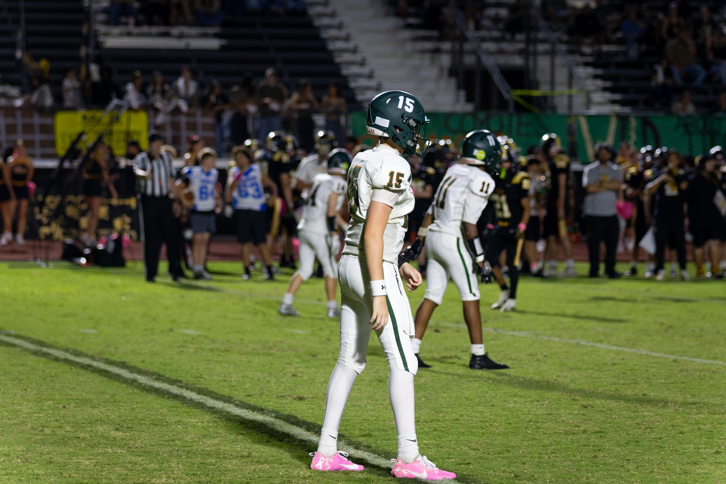 IMG_1766-DxO_DeepPRIME 3.jpg