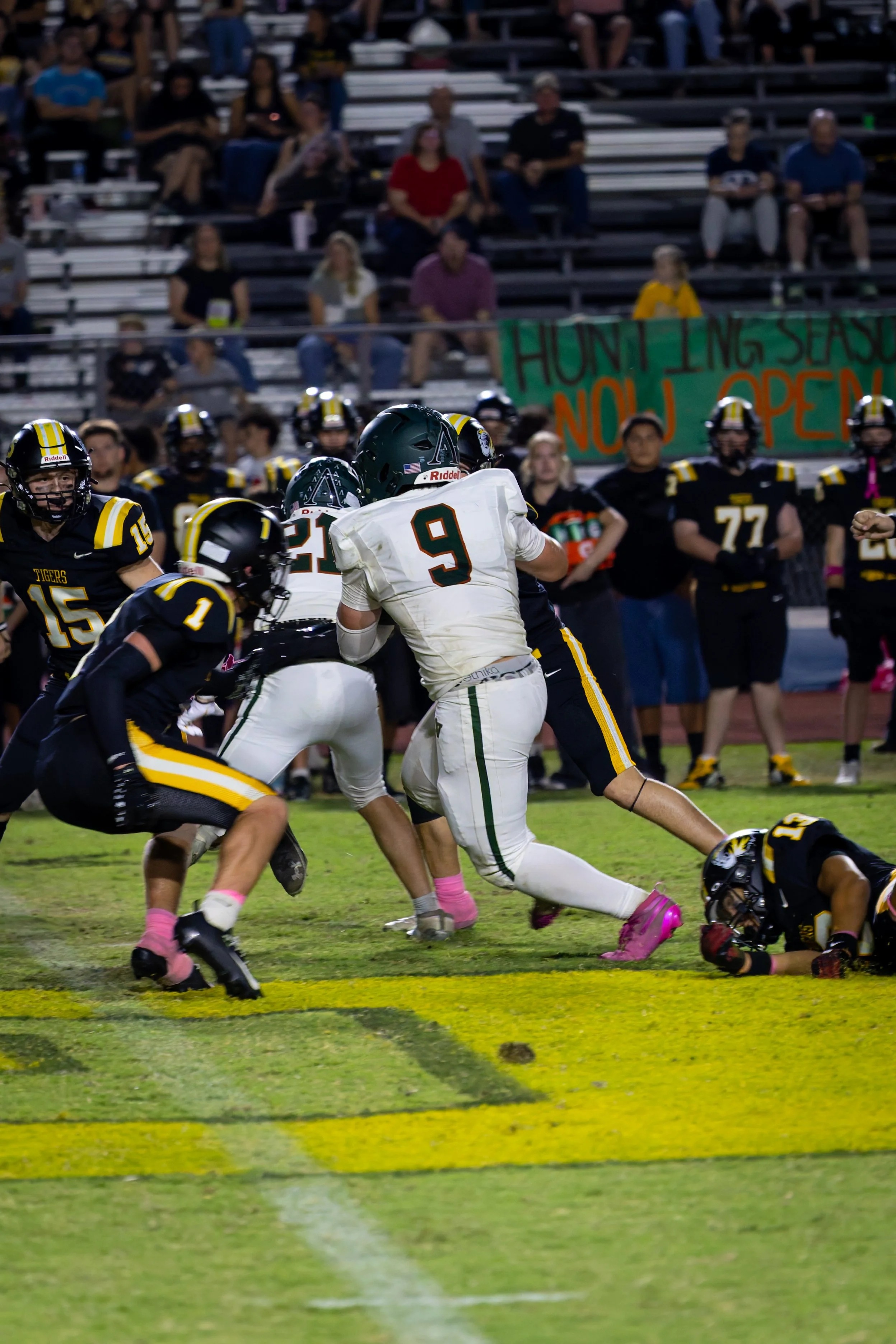 IMG_4694-DxO_DeepPRIME 3.jpg