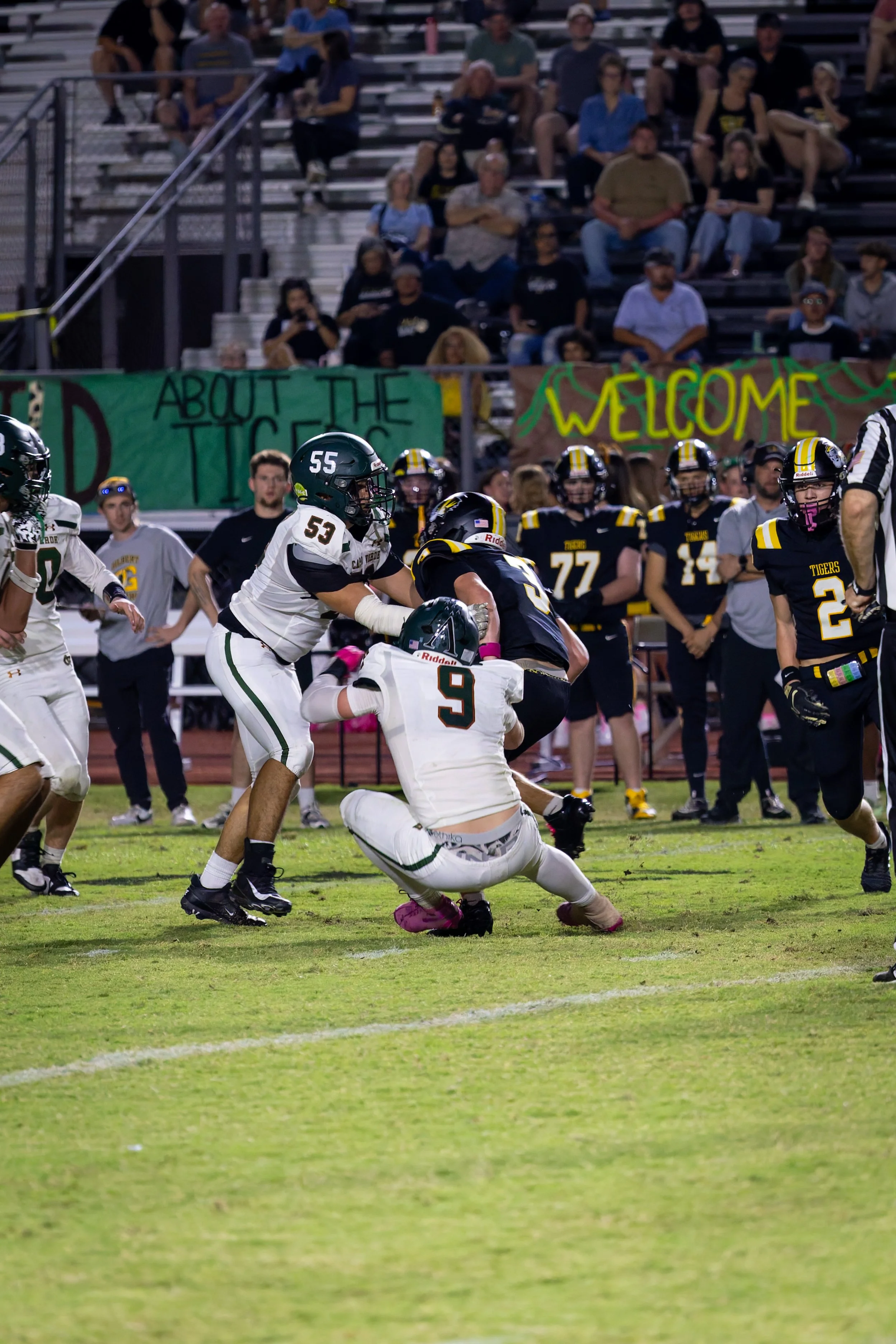 IMG_3880-DxO_DeepPRIME 3.jpg