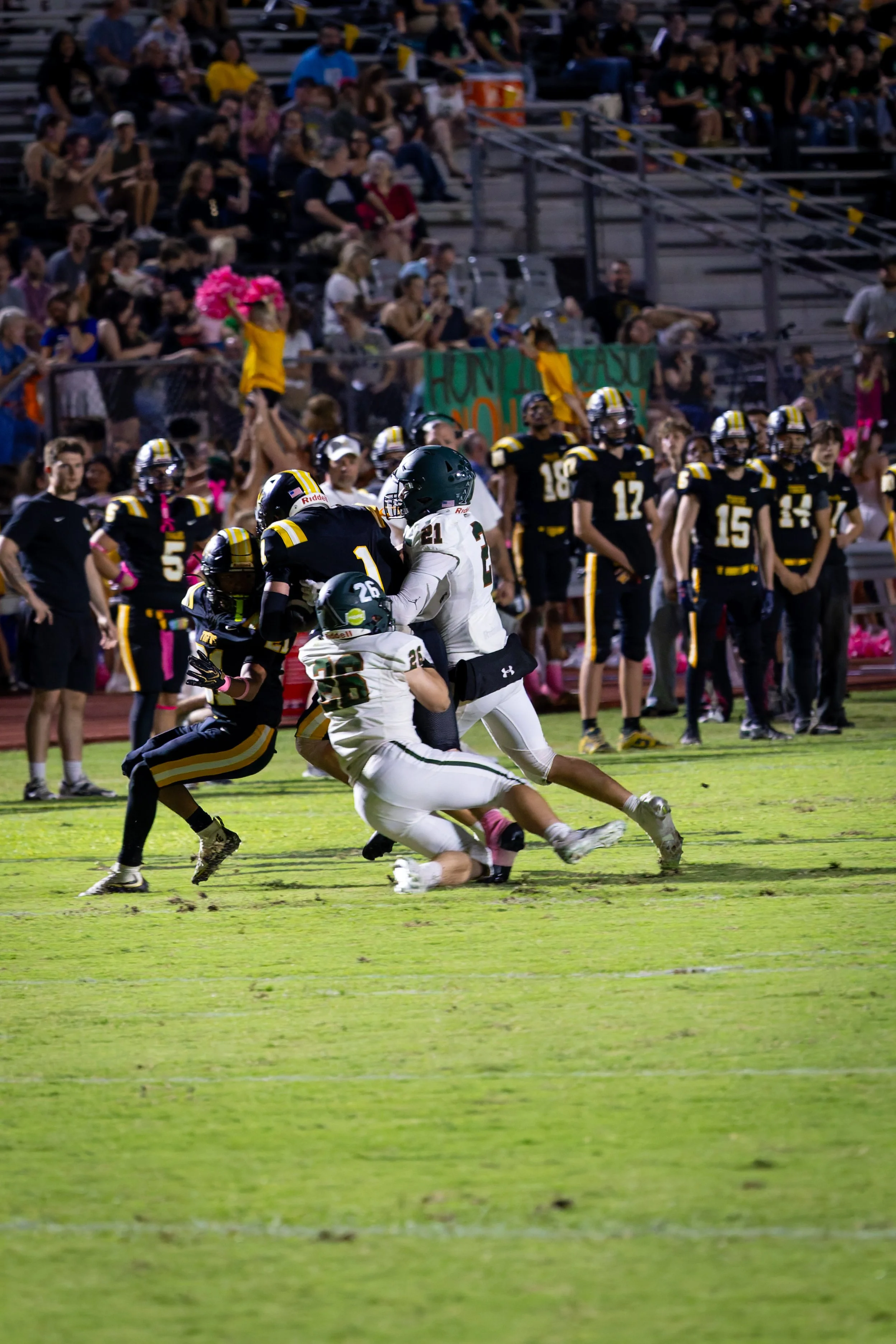 IMG_3209-DxO_DeepPRIME 3.jpg
