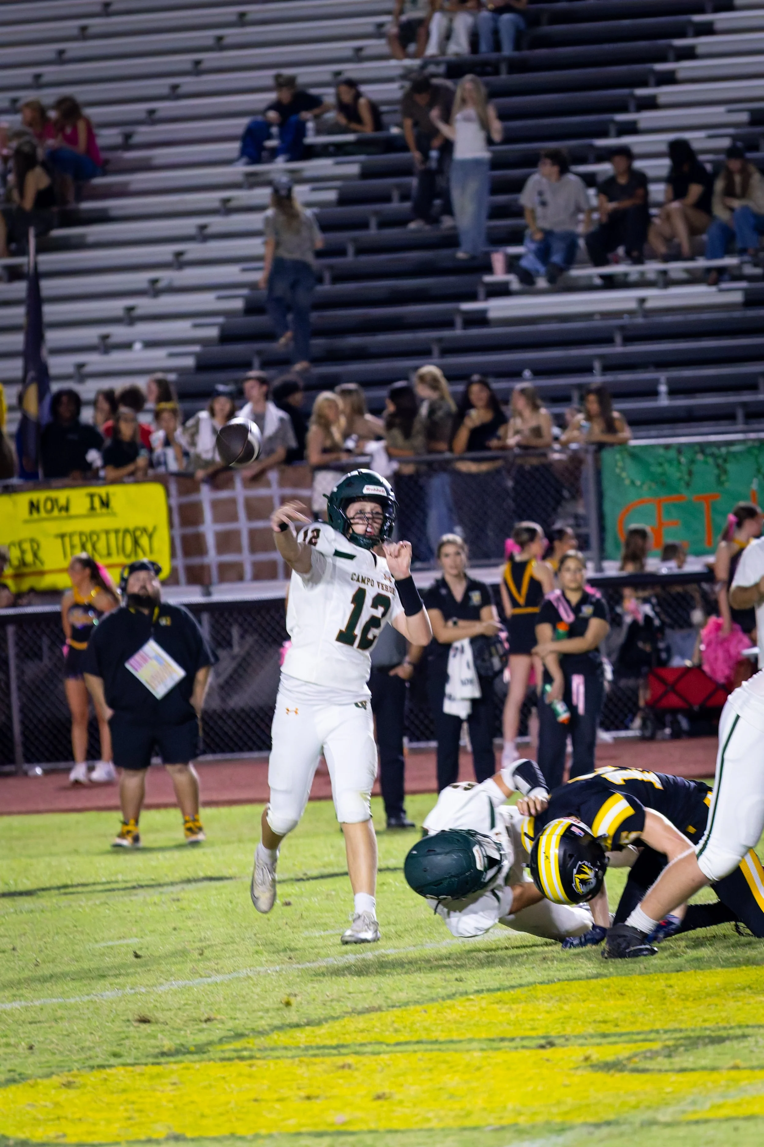 IMG_5283-DxO_DeepPRIME 3.jpg