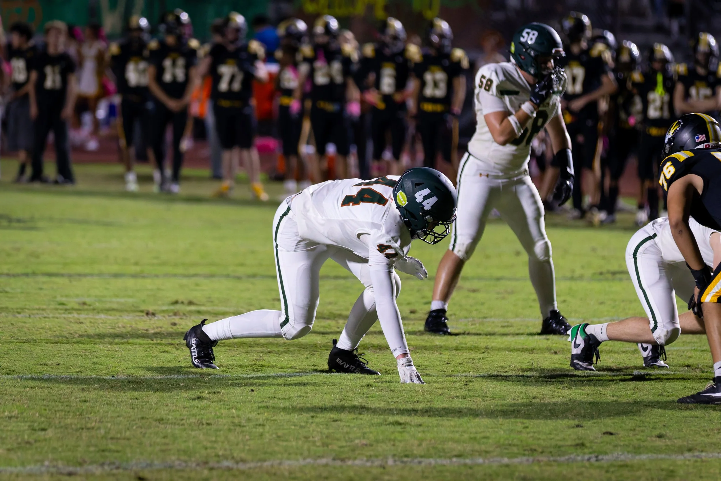 IMG_0710-DxO_DeepPRIME 3.jpg