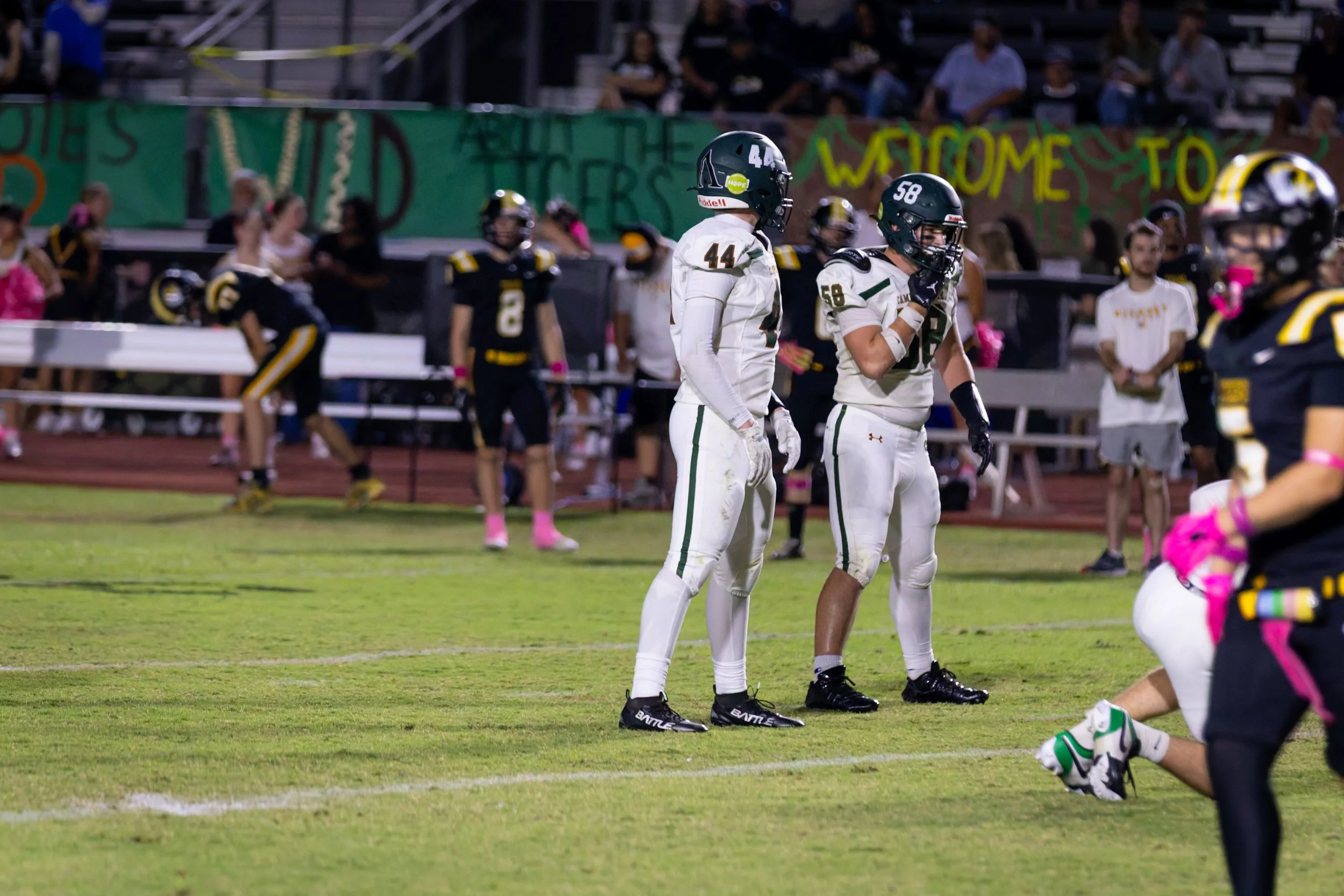 IMG_0912-DxO_DeepPRIME 3.jpg