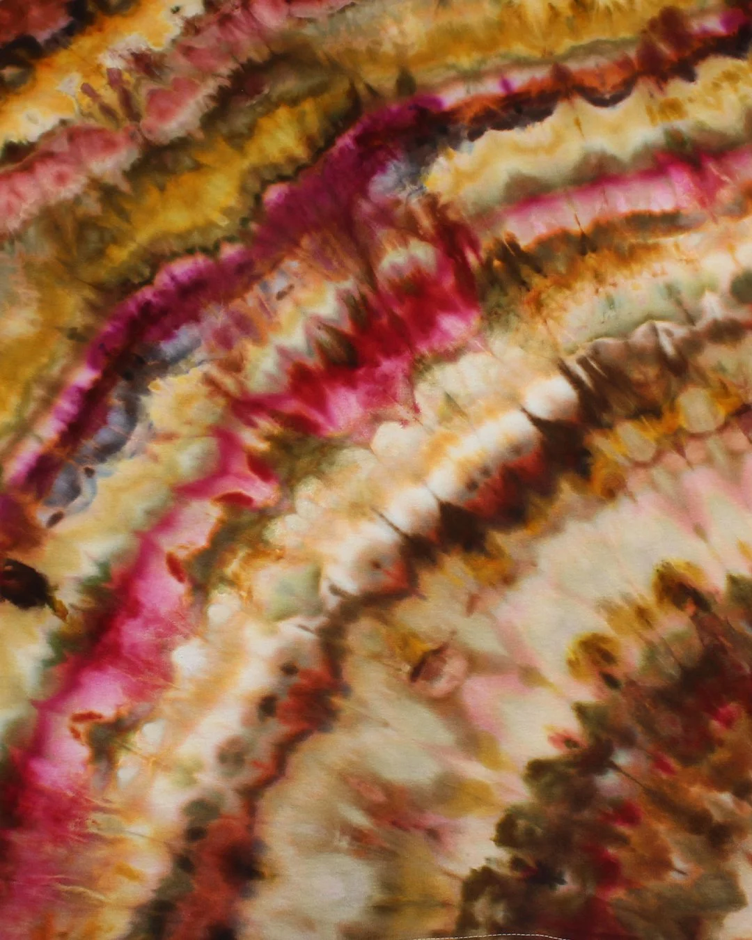 Closeup 2.jpg