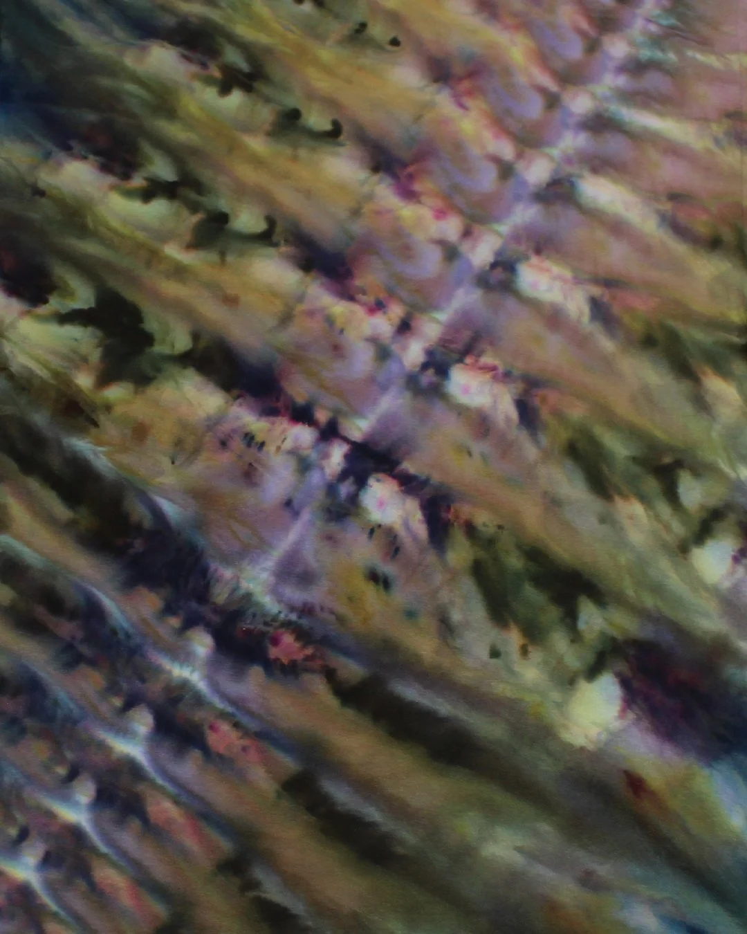 Closeup 2.jpg