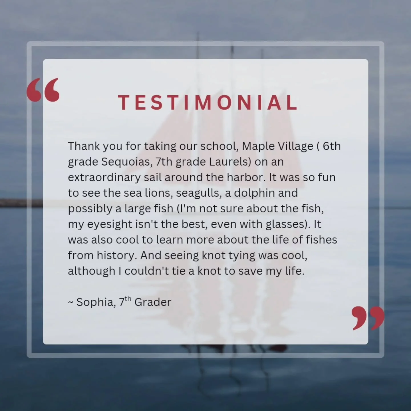 Ever wondered what sailing with us feels like through the eyes of a 7th grader?
Sophia, a 7th grader from Maple Village shared her excitement about sailing the harbor with us:
“It was so fun to see the sea lions, seagulls, a dolphin, and mayb