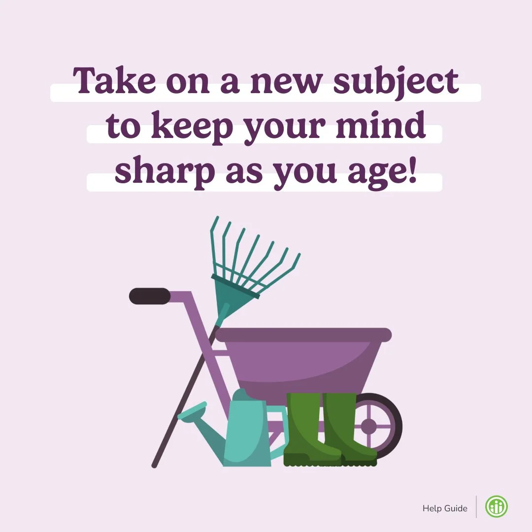 Learning a new skill or subject is a great way to keep your mind quick as you age. Consider trying classes at community centers or community colleges to tackle new subjects.
