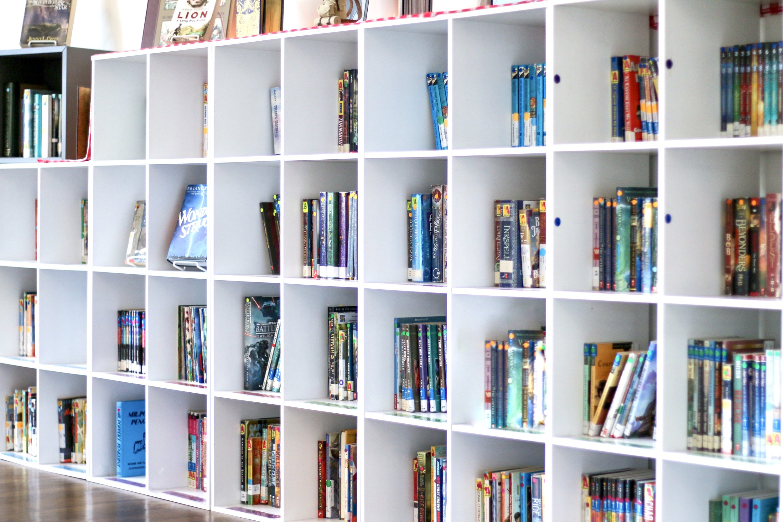 Books in Orton-Gillingham Classroom at North Campus in Estero, Florida - Campus Tour of Educational Pathways Academy, School for Dyslexia in Florida.jpeg