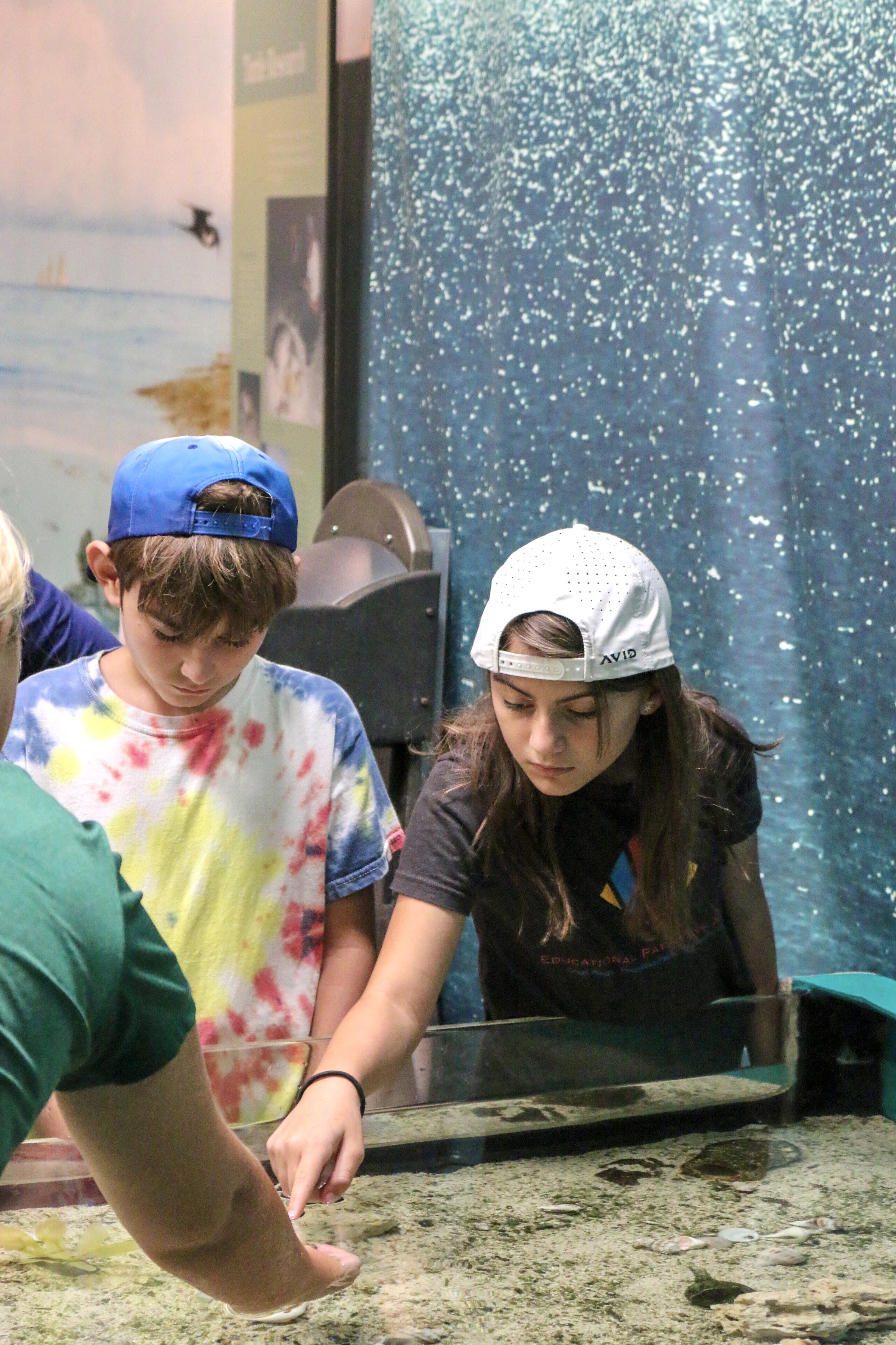 Students enjoy touch tank at Conservancy of Southwest Florida - Educational Pathways Academy, private school for dyslexia in Florida.jpeg