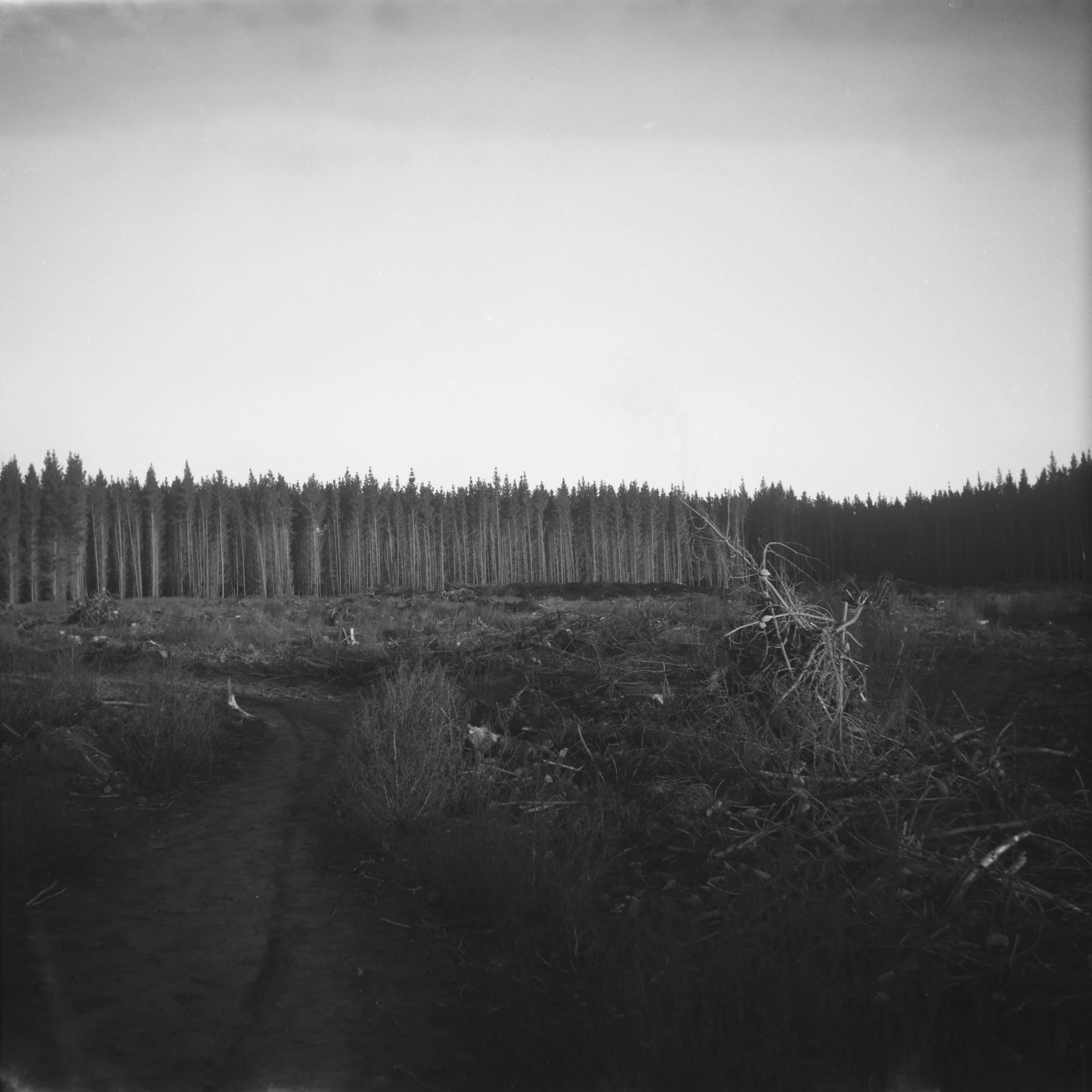 Juliet Landfill Hotel 20th 1.jpg