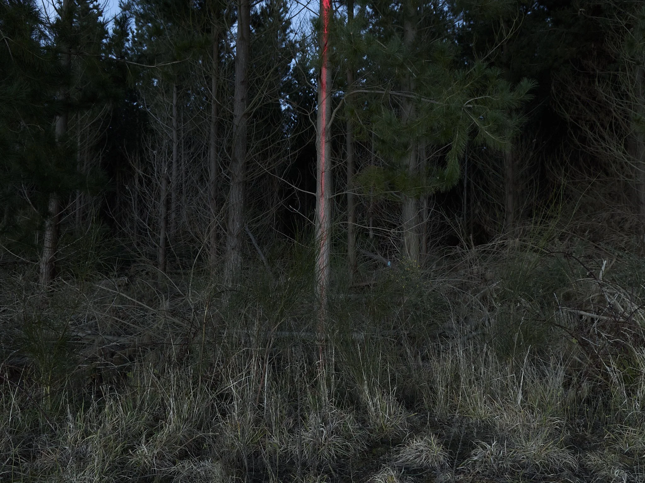0M8A2614.jpg