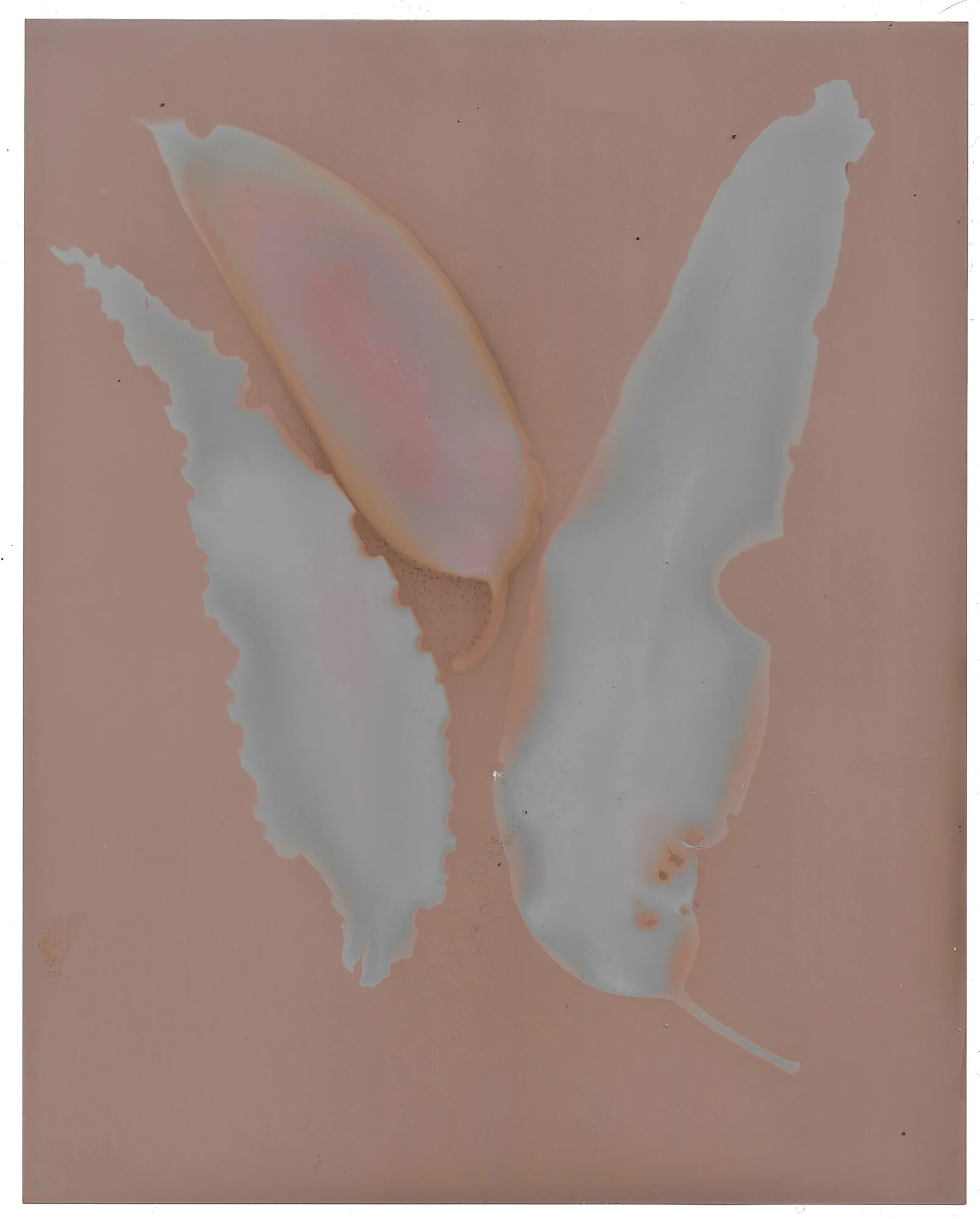 Stoddart lumens 260111_4 copy.jpg