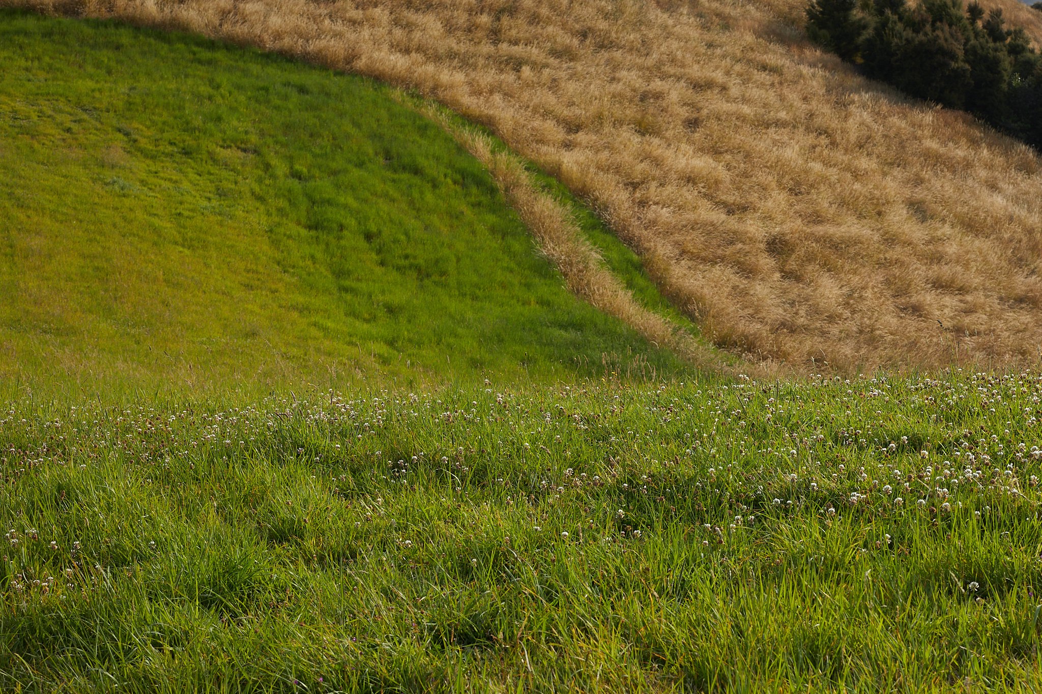 2301_Akaroa_Harbour_009.jpg