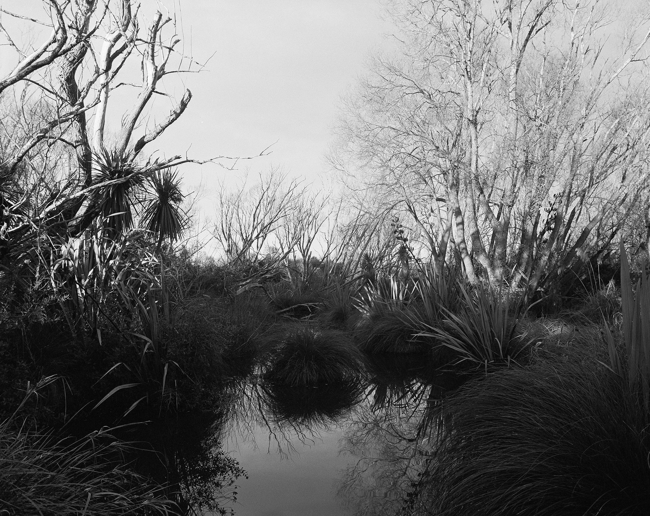 010624_1 copy.jpg