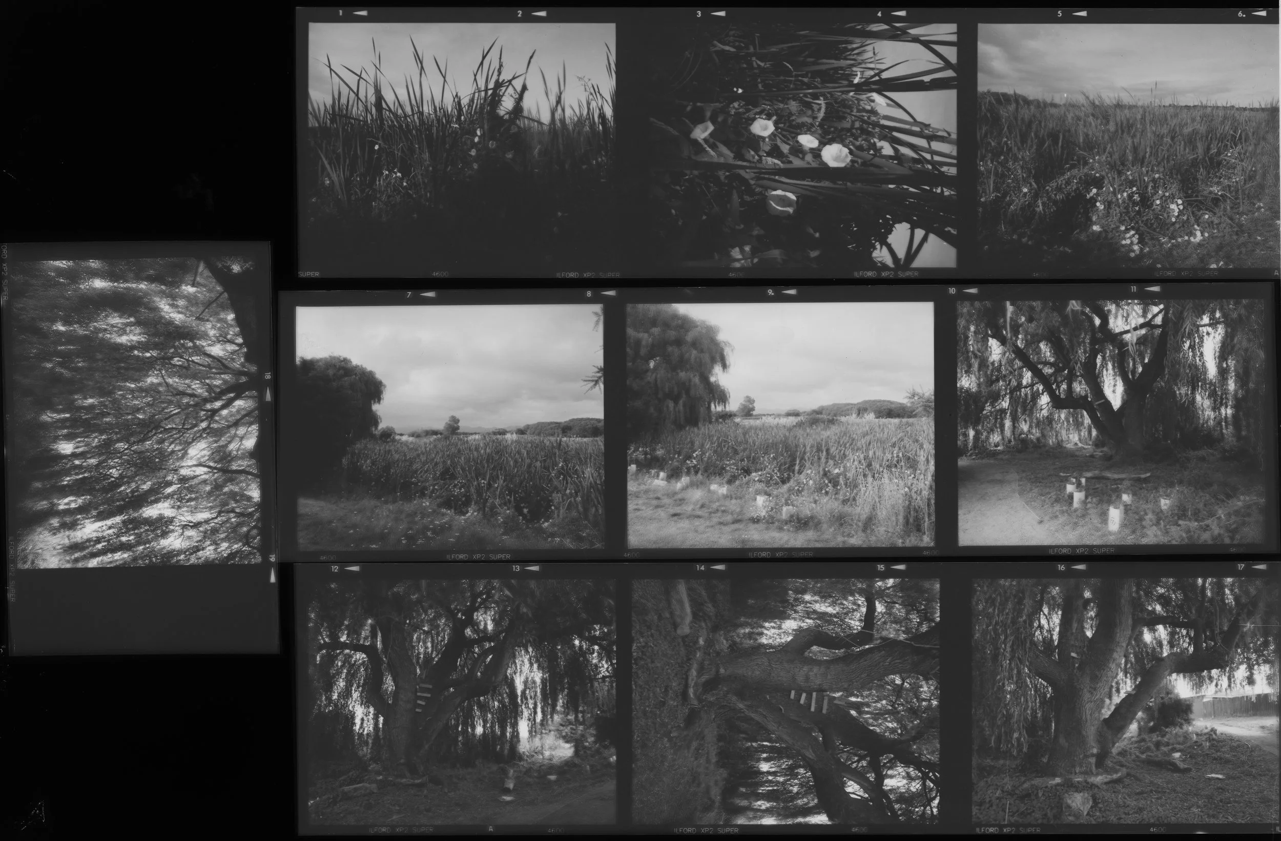 ContactSheet.jpg
