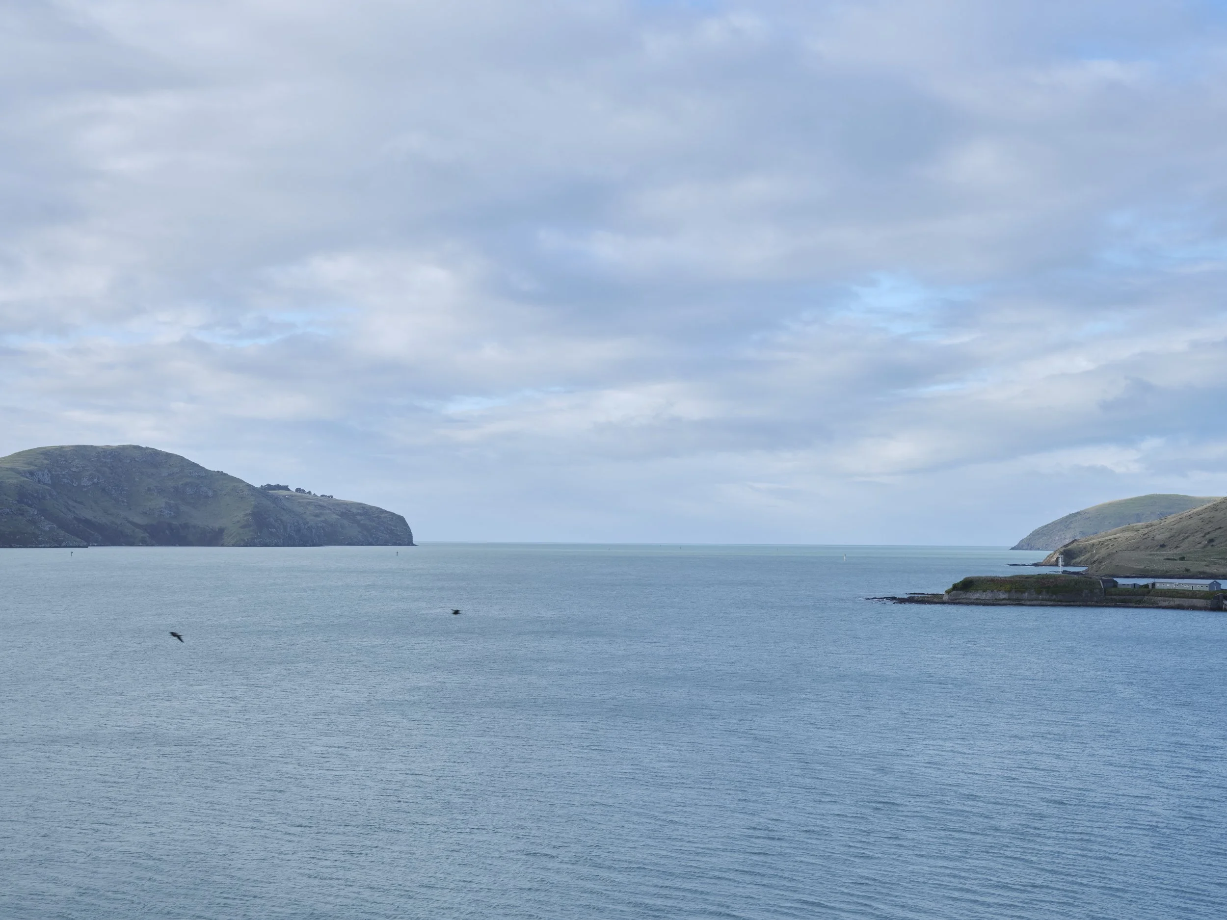 DSCF0745.jpg