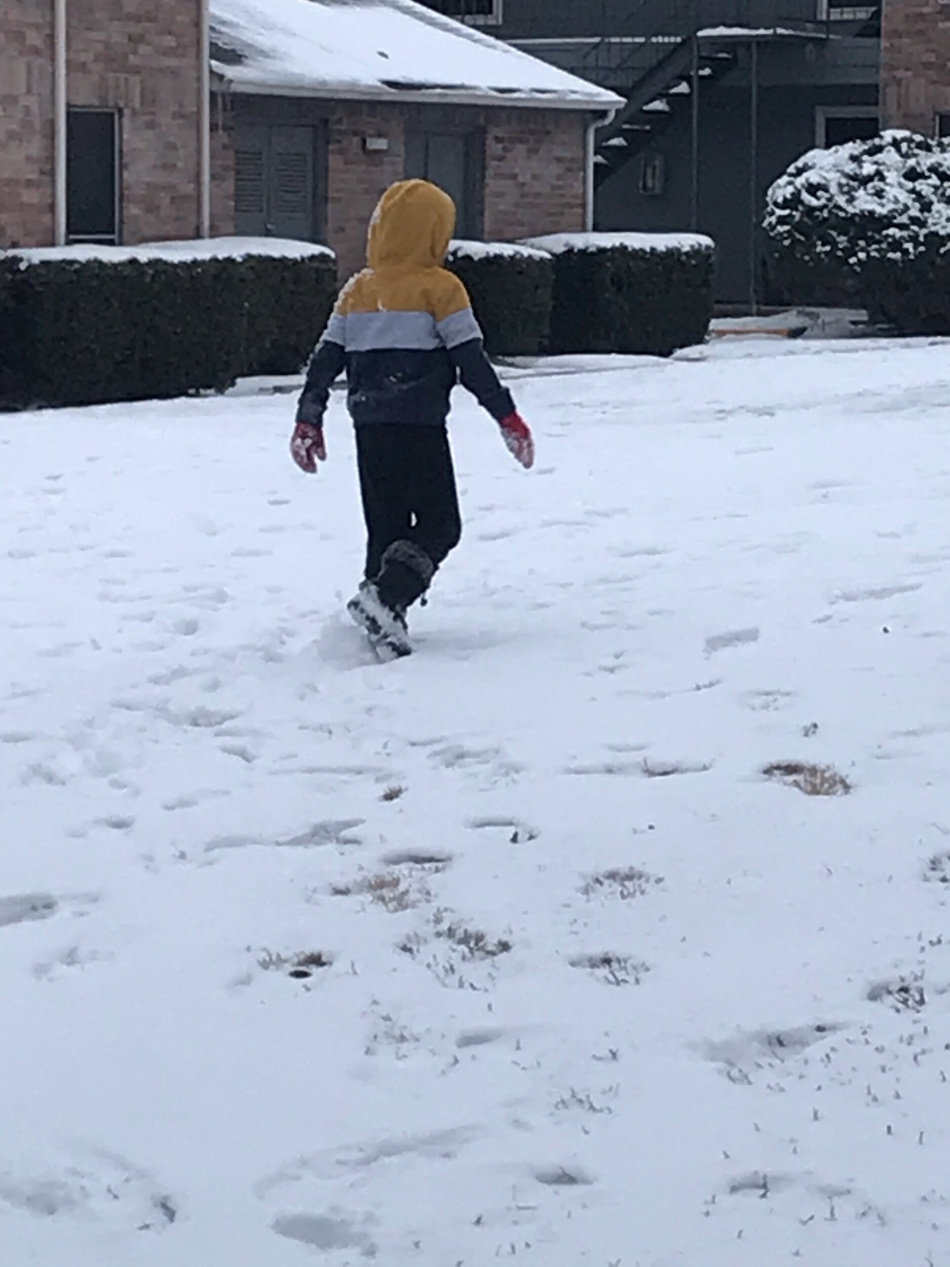 And by someone. You can tell who I mean.It at least left us with some well needed family bonding time since the icy roads kind of took me out of commission for work.   getting out in the snow w/ Booger was exactly what I needed to feel younger  agai…