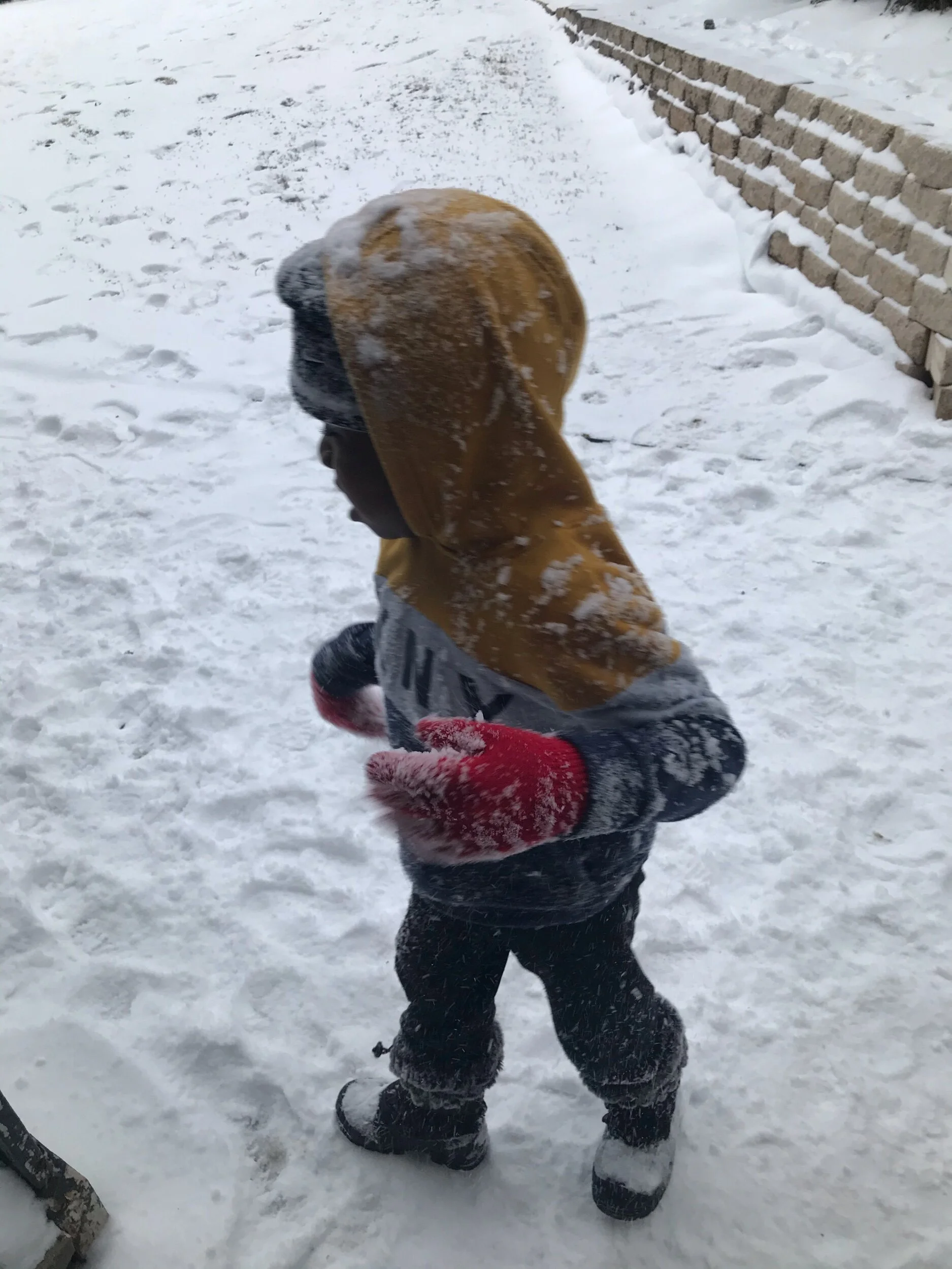 It’s beginning to look a lot like Christmas 🎄