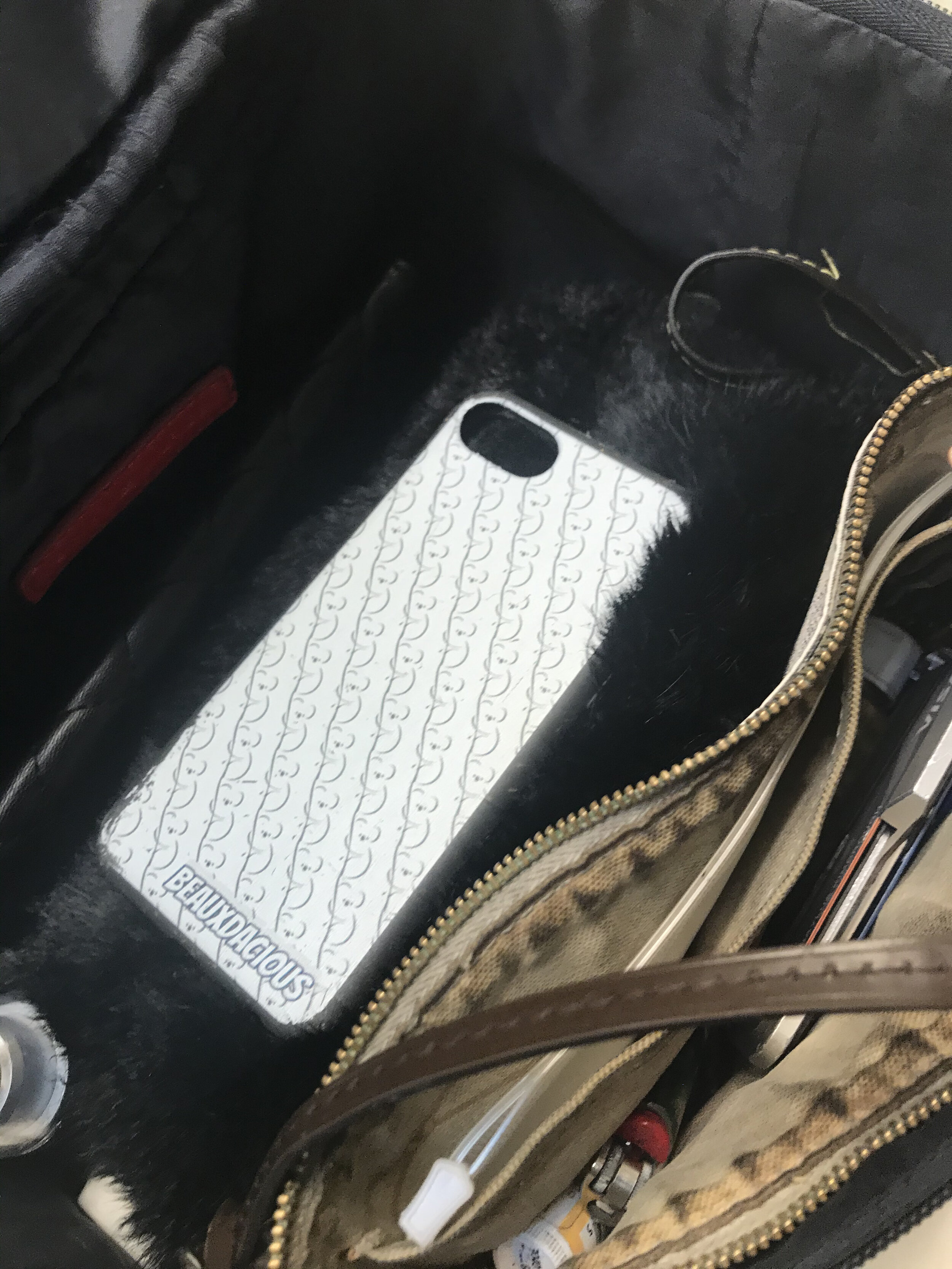 Biodegradable iPhone Cases📲 