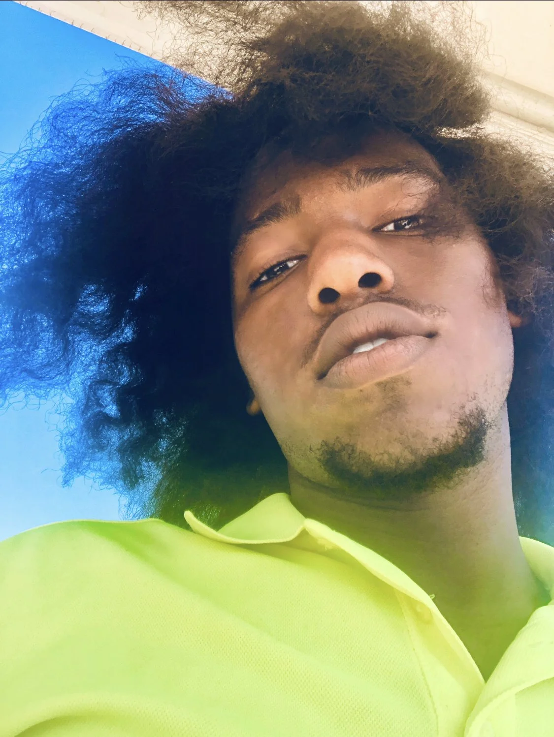 gone wit the wind