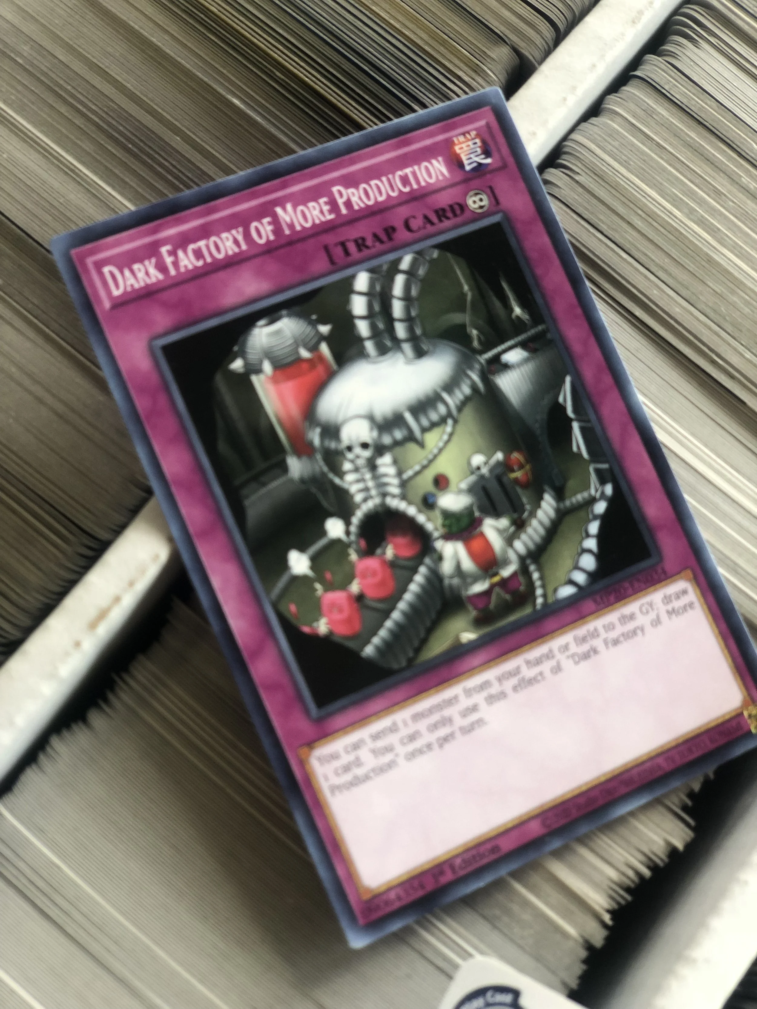 archive hunting 