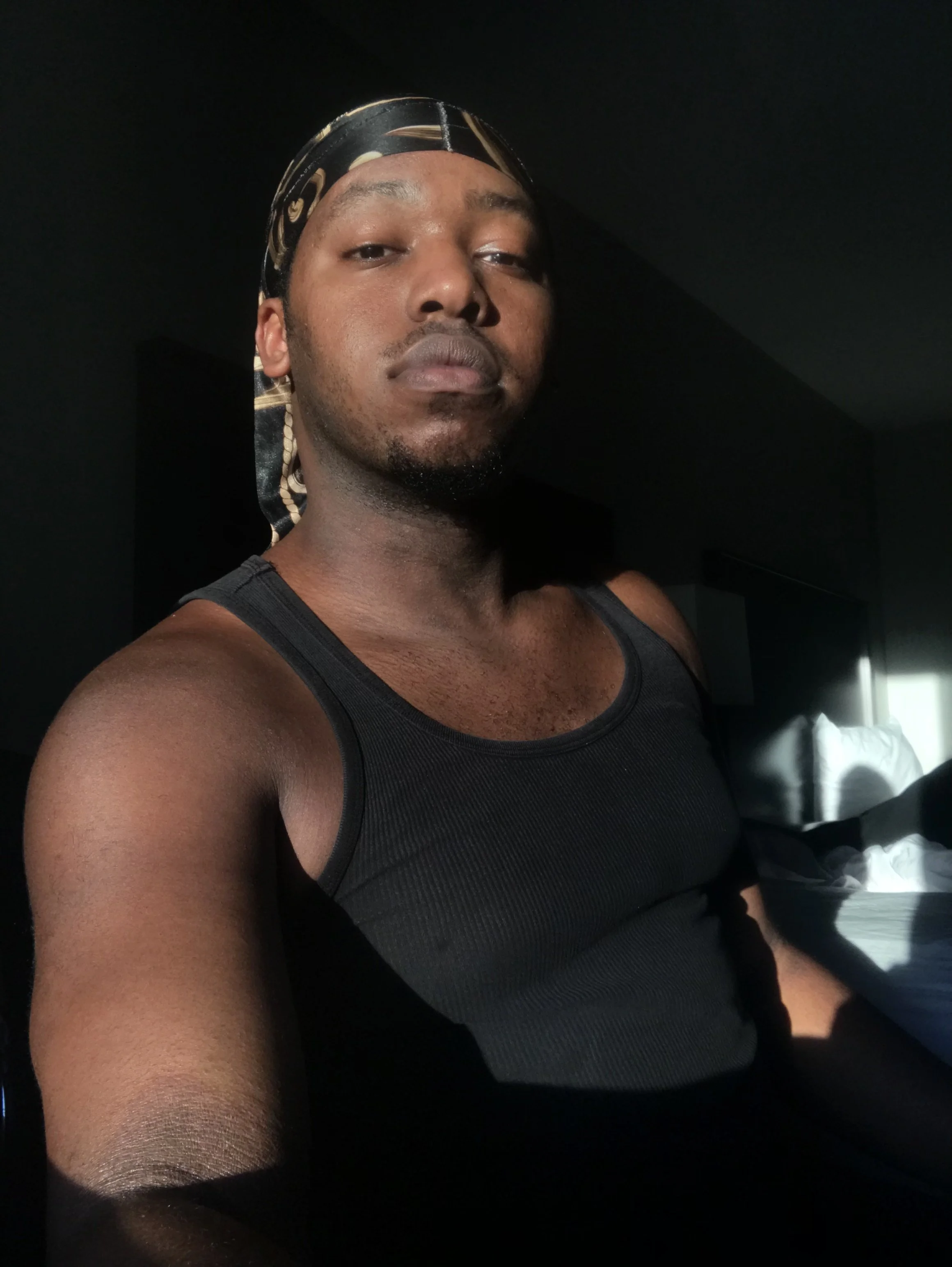 sunlit