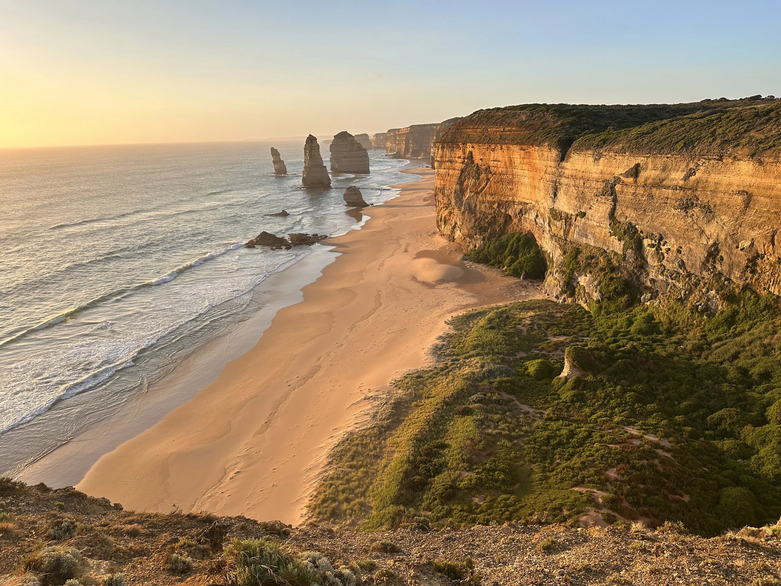 Welcome to the Finding Your Beat Newsletter