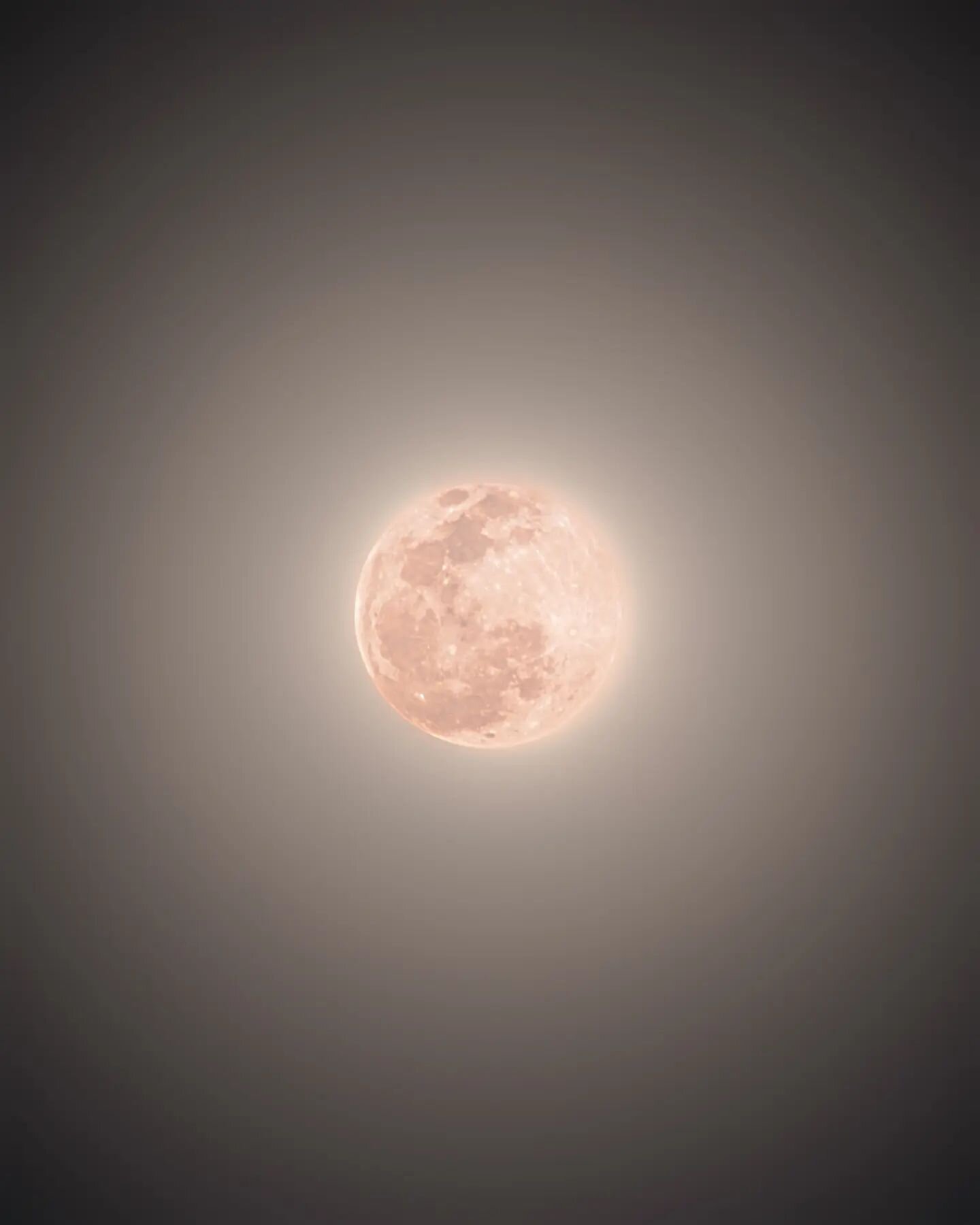 Dustin Ellison Photography