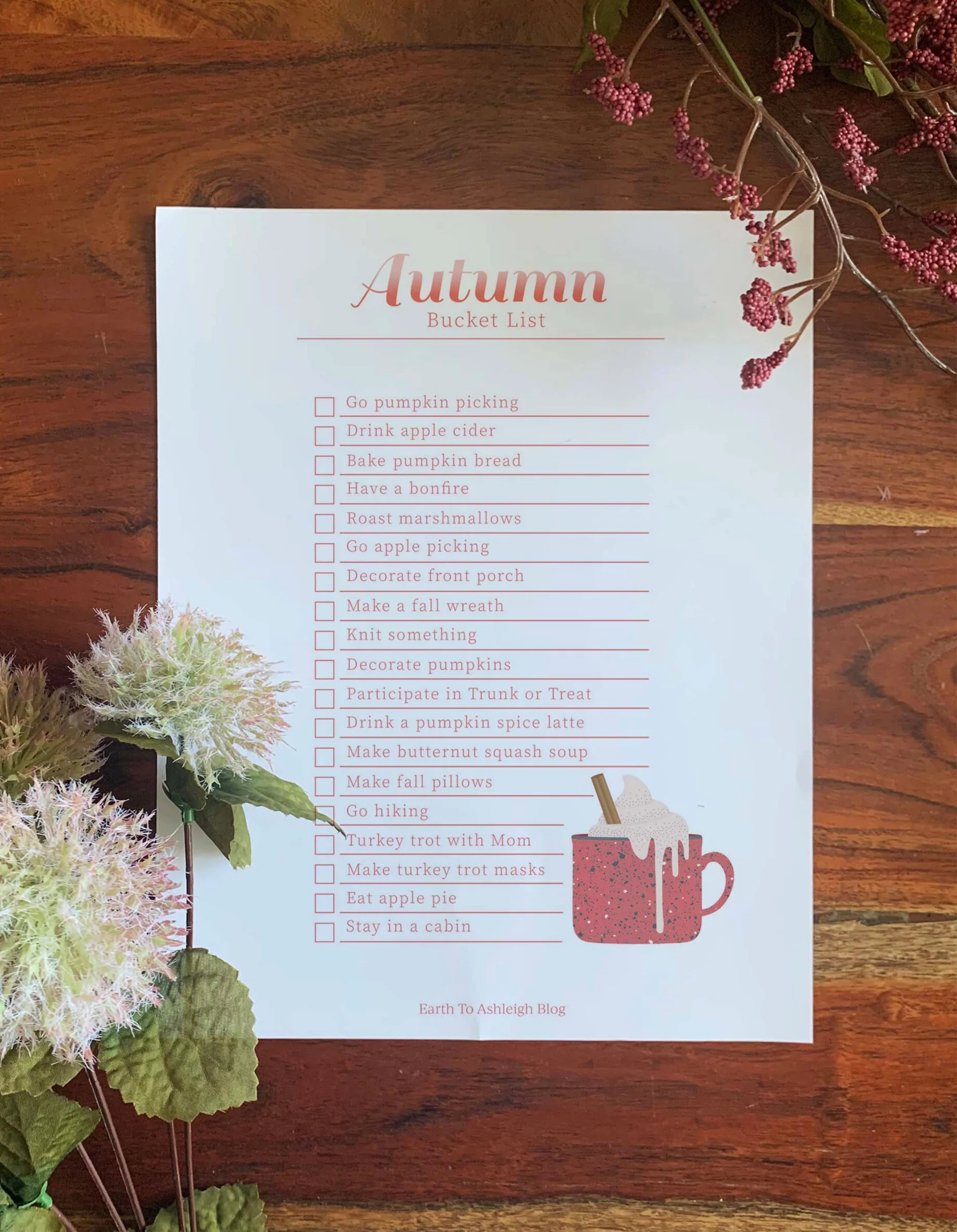 EarthtoAshleighBucketList.jpg
