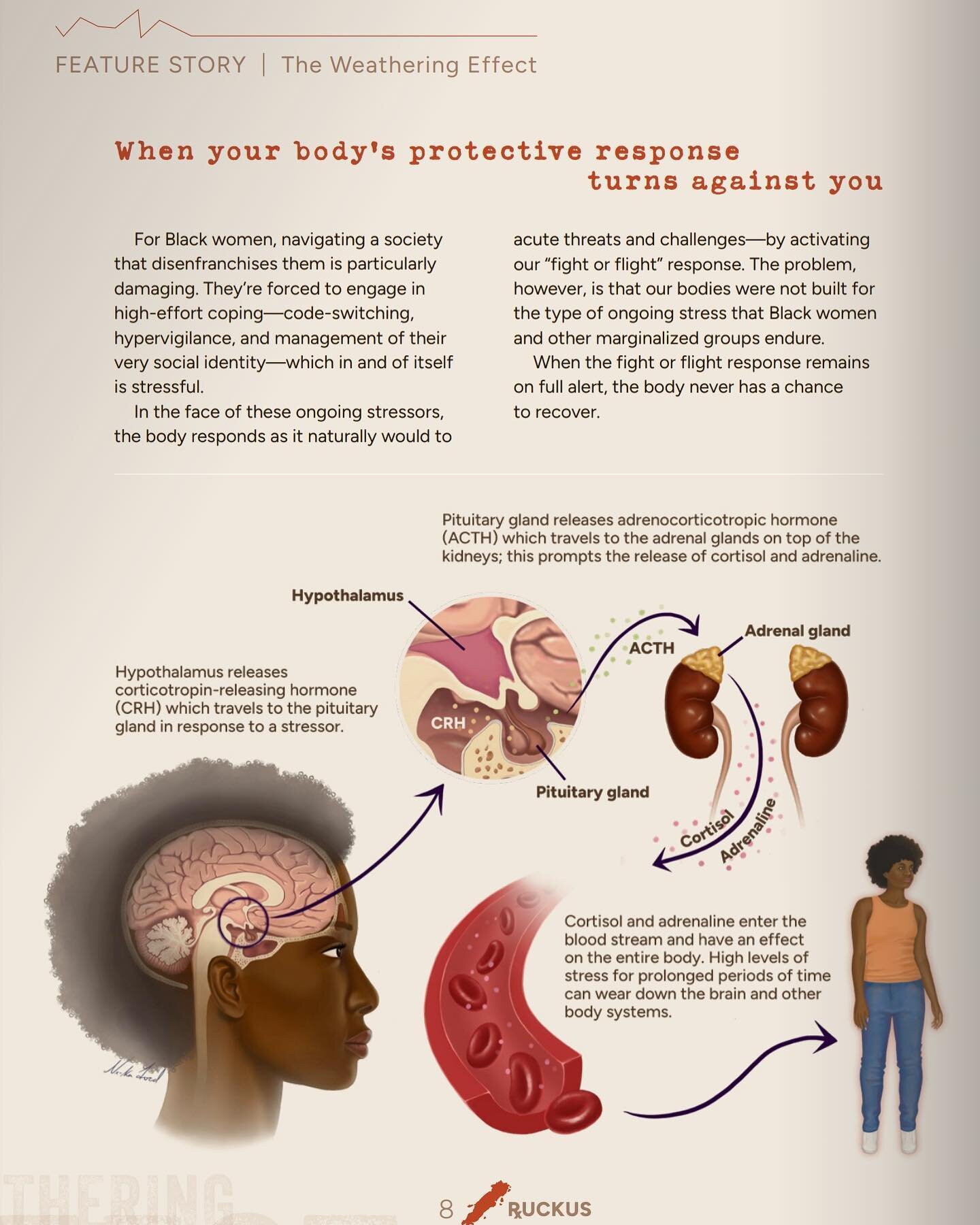 Happy to share I've been partnering with @health4equity on a digital zine called RxUCKUS which is an interactive zine at the intersection of healthcare and the arts. In this premier issue we explored the effects of chronic stress due to systemic raci