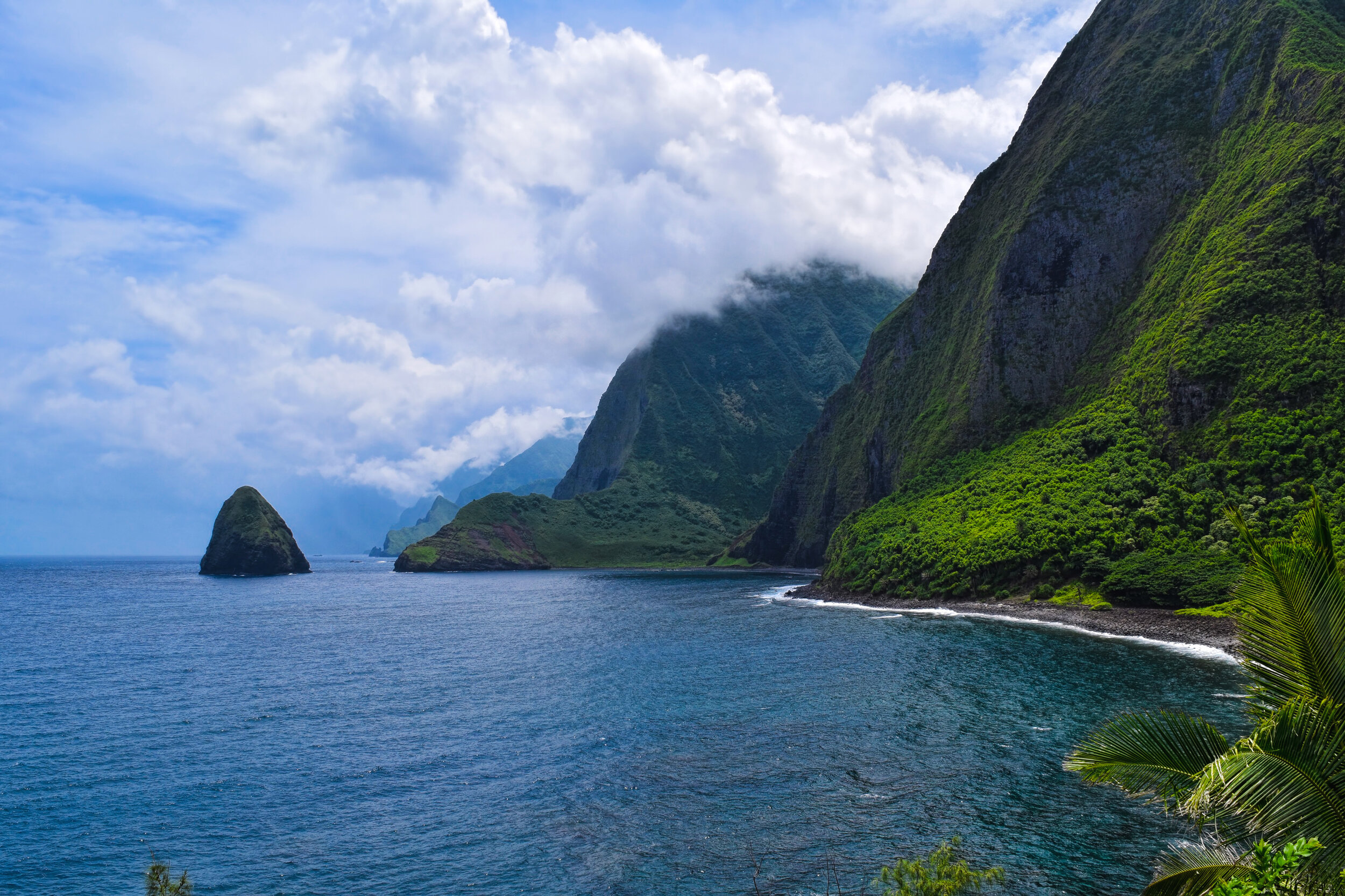 7f6e15_ded4e9826dc44f25b193f4d7e30e0bde-mv2_d_3000_2000_s_2 copy.jpg