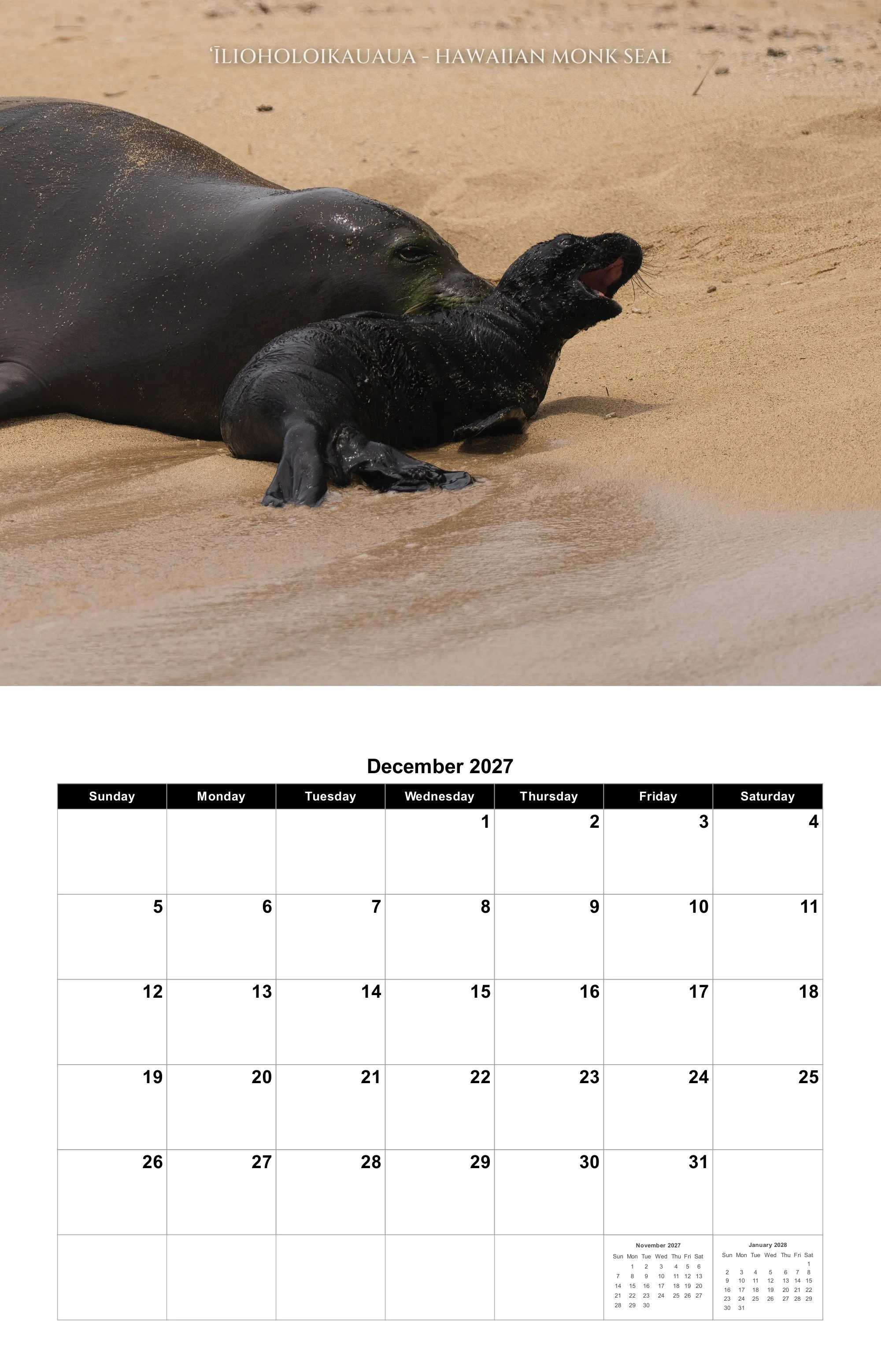 12-december.jpg