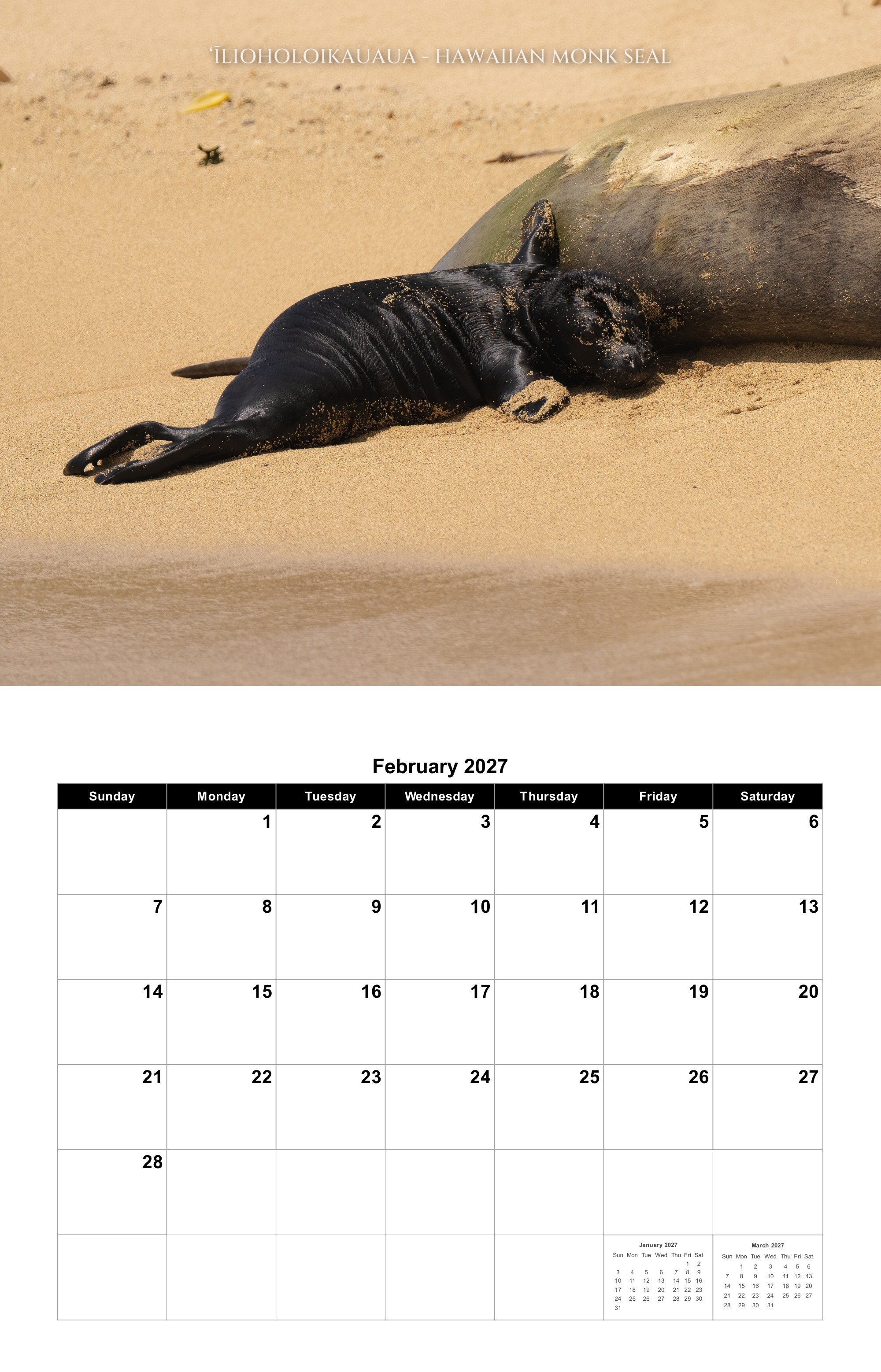 02-february.jpg