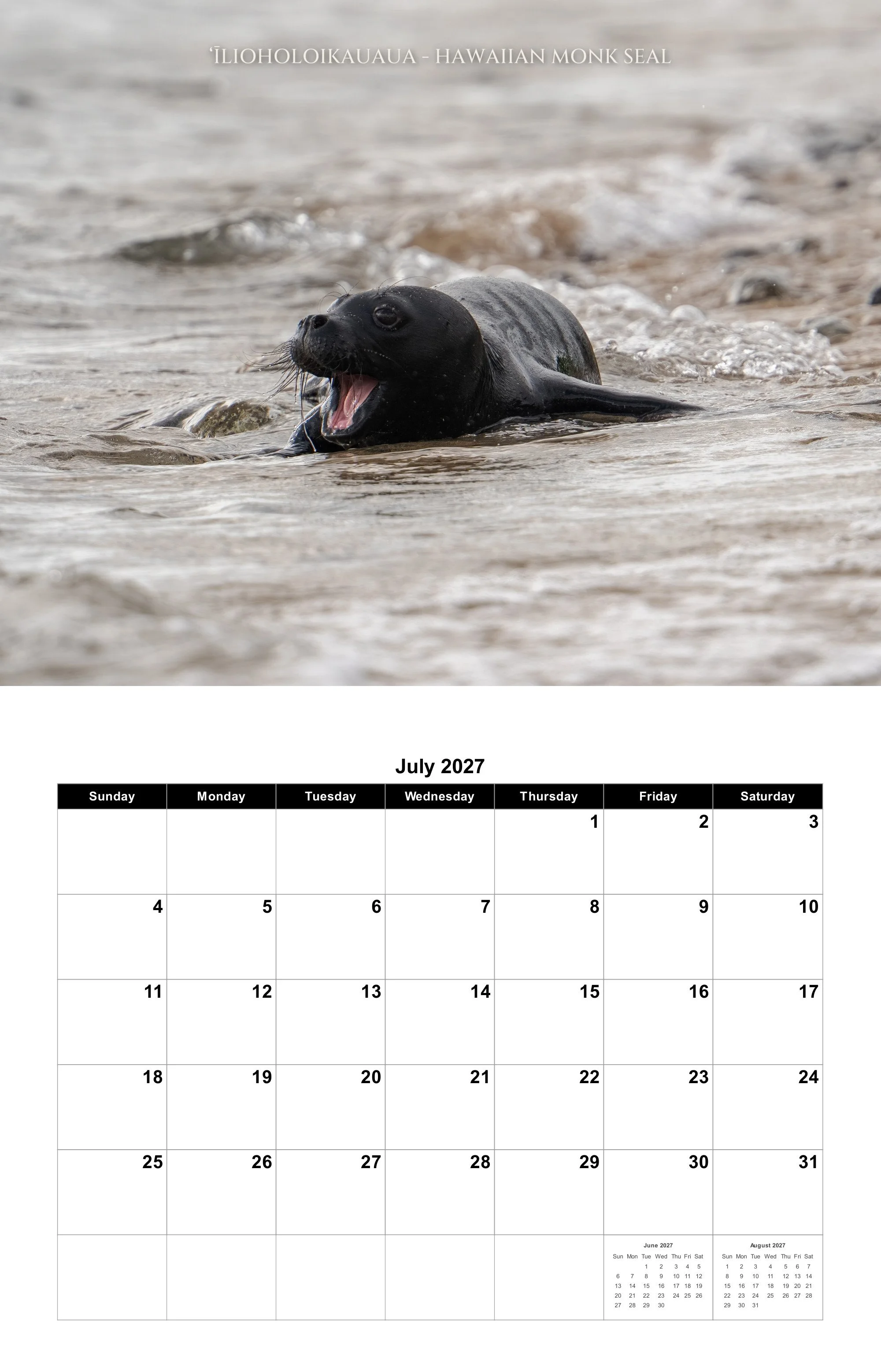 07-july.jpg