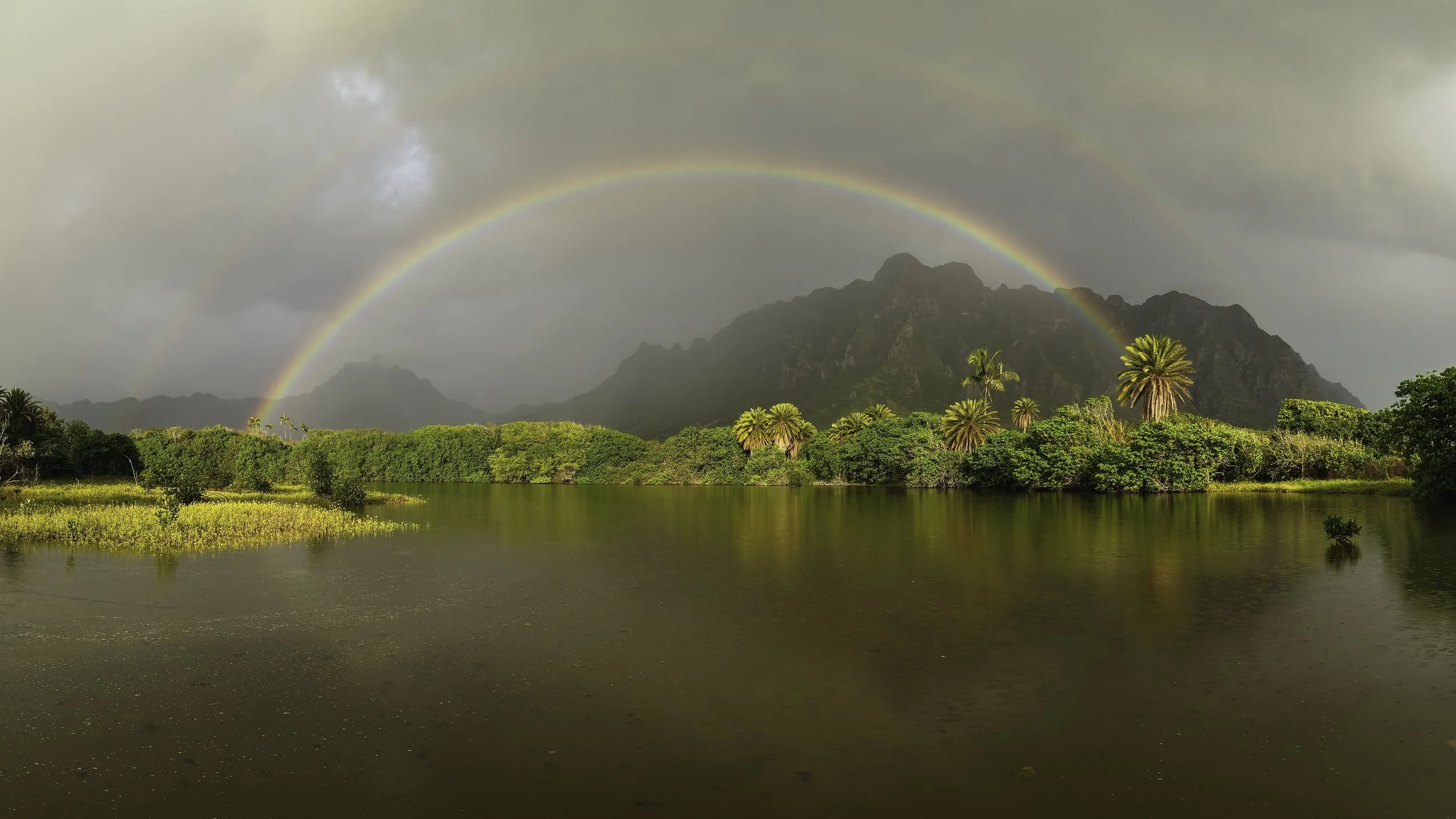 Kualoa Bow