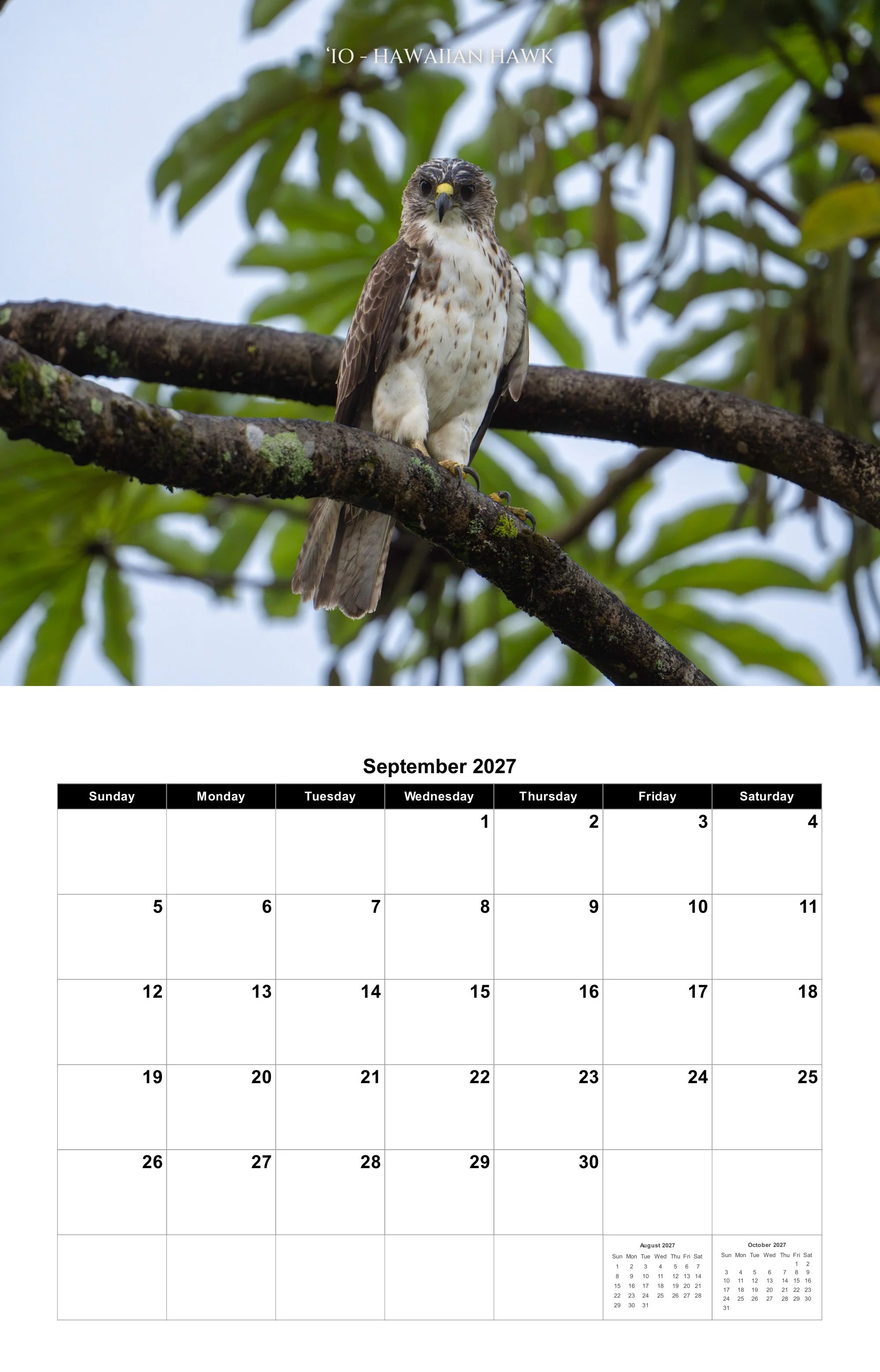 09-september.jpg