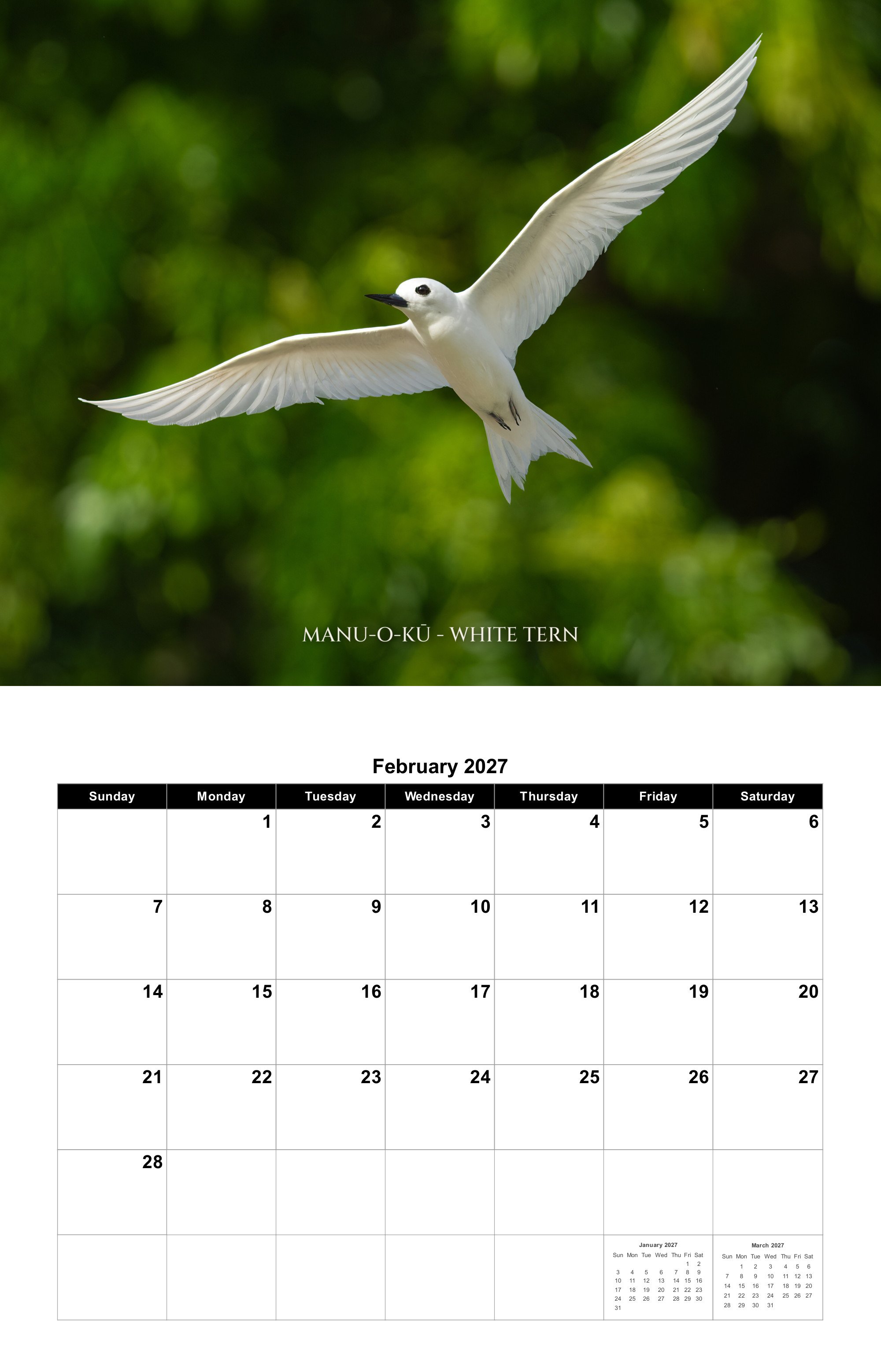 02-february.jpg