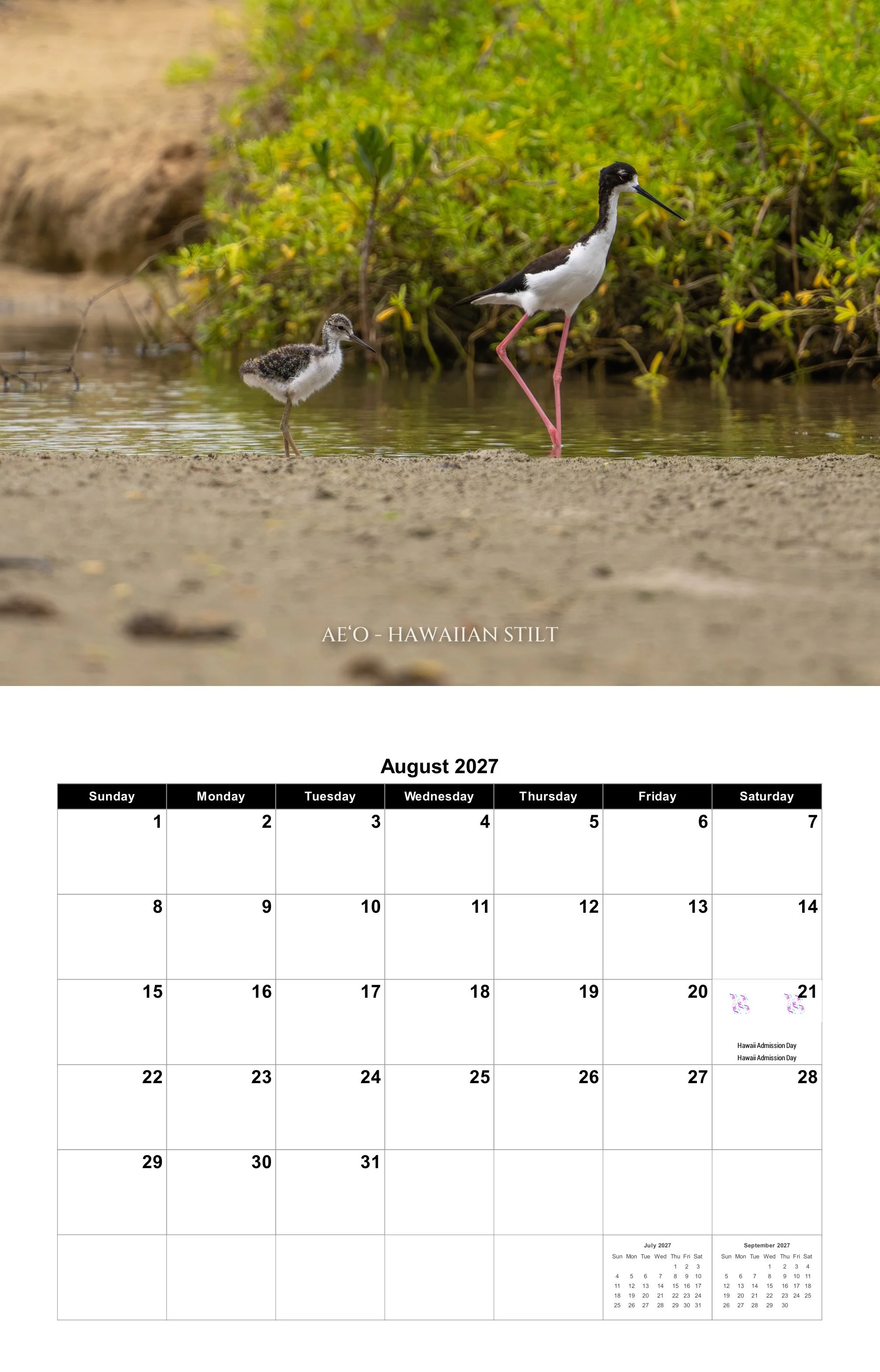 08-august.jpg