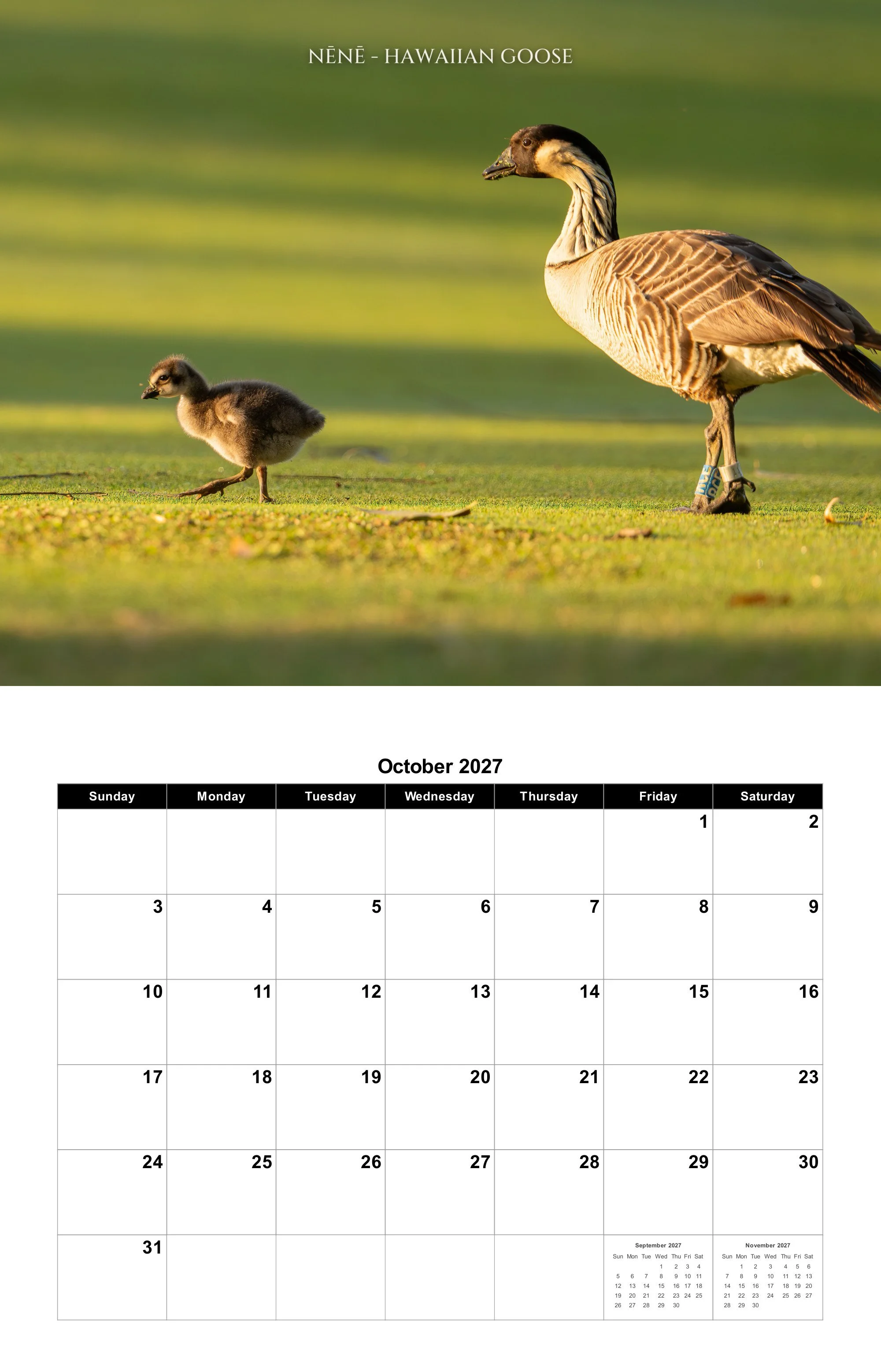 10-october.jpg