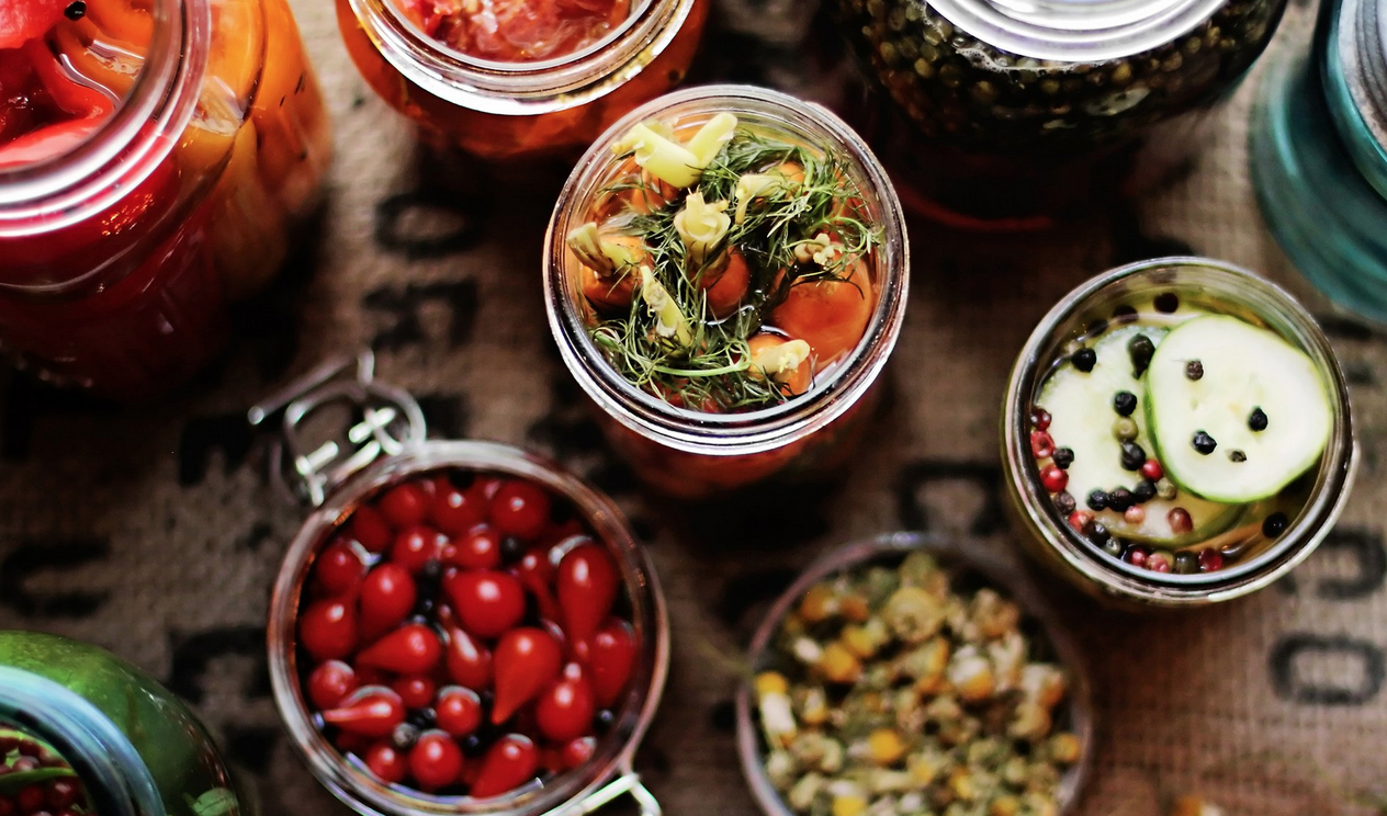 Fermentopia Harvest Edition